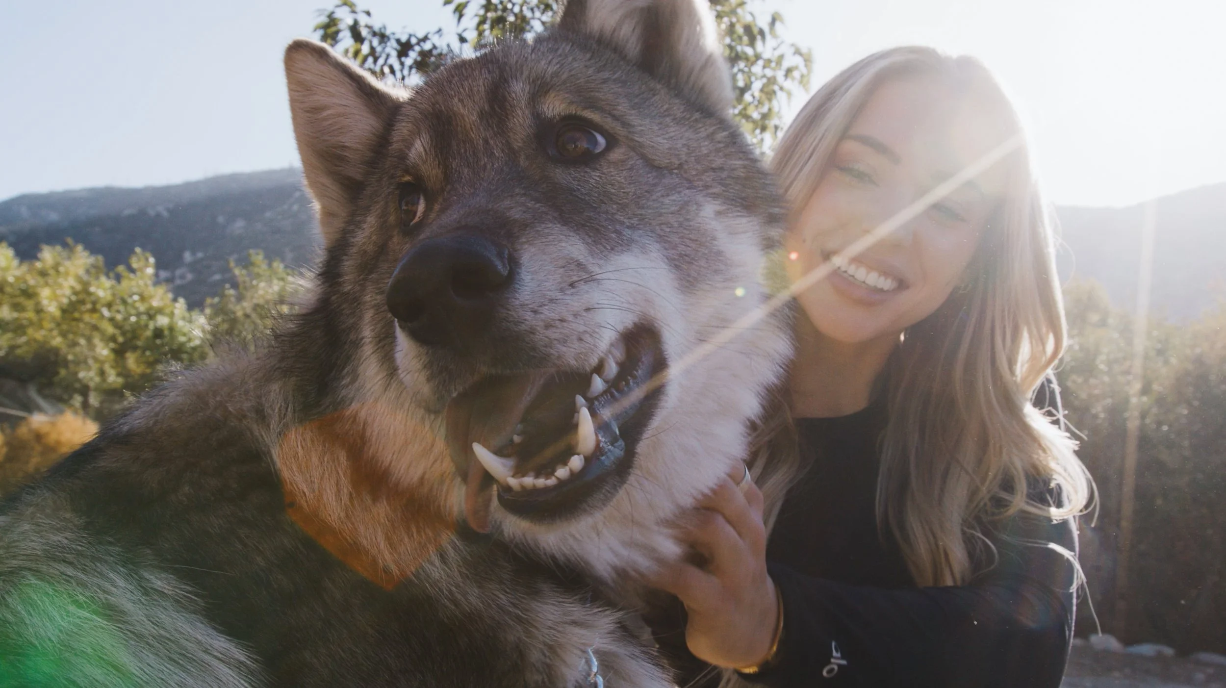 Screen Shot 2021-01-22 at 11.40.02 AM.jpg