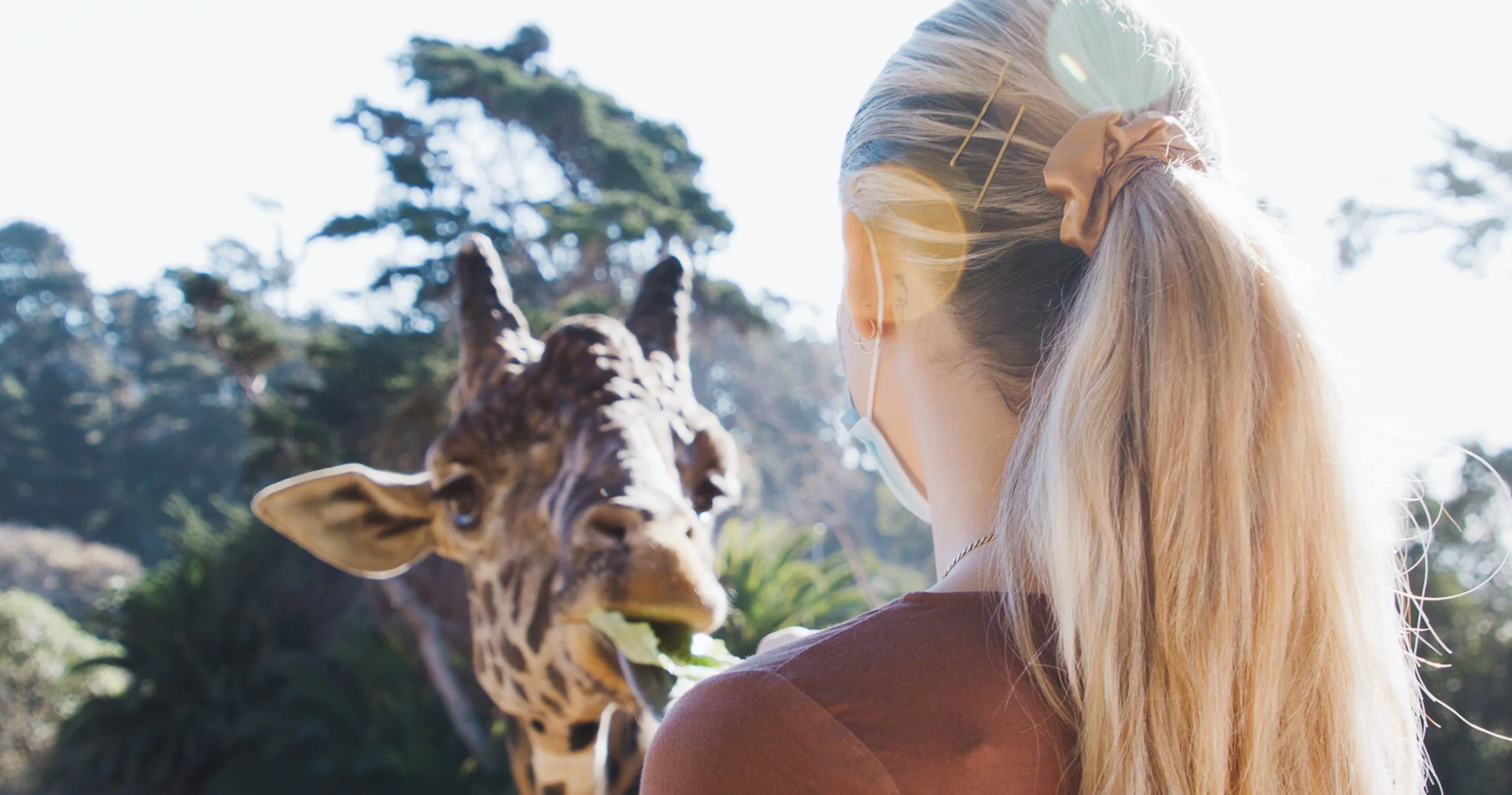 Screen Shot 2021-01-22 at 11.27.00 AM.jpg