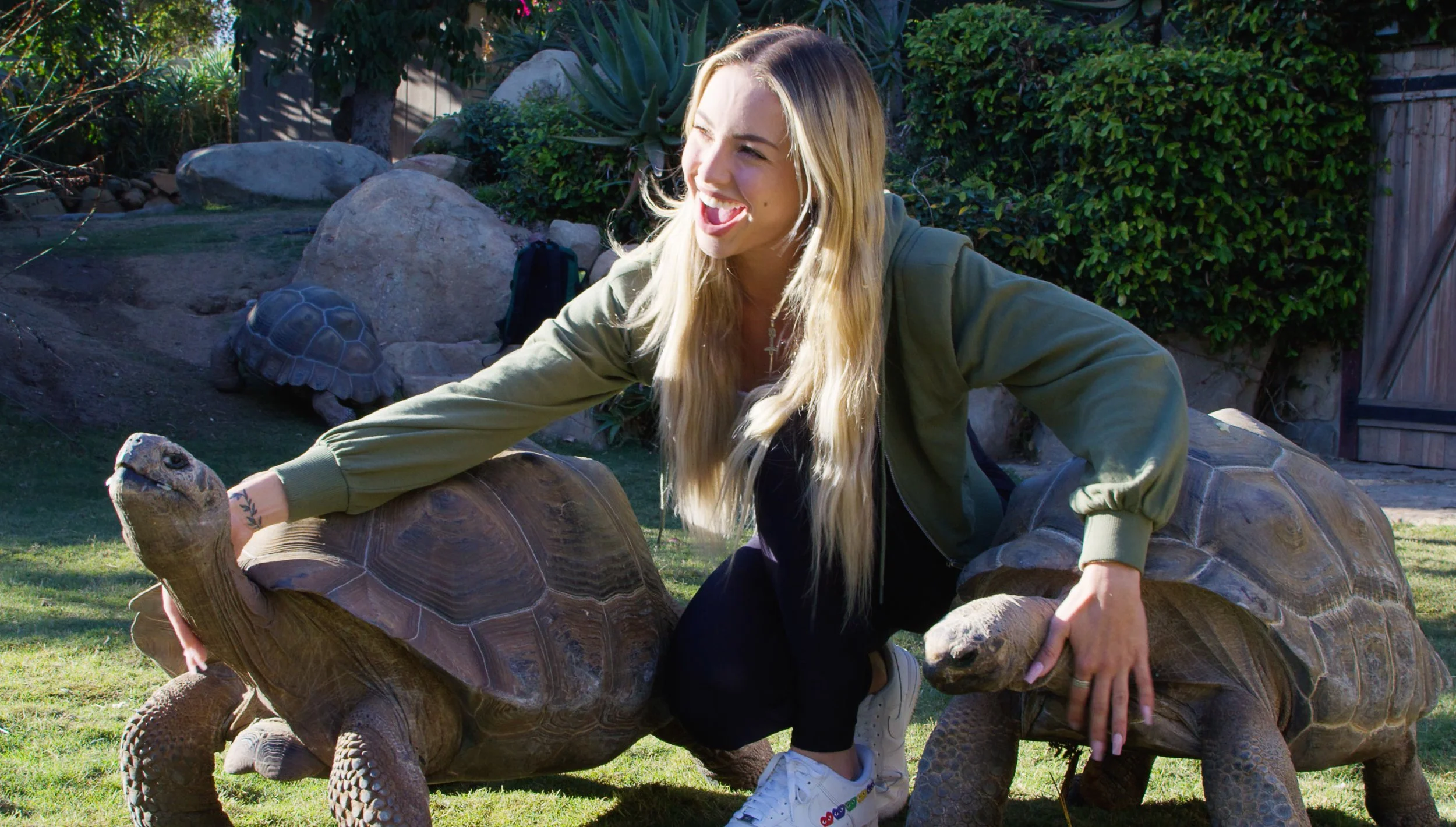 Screen Shot 2021-01-22 at 11.52.40 AM.jpg