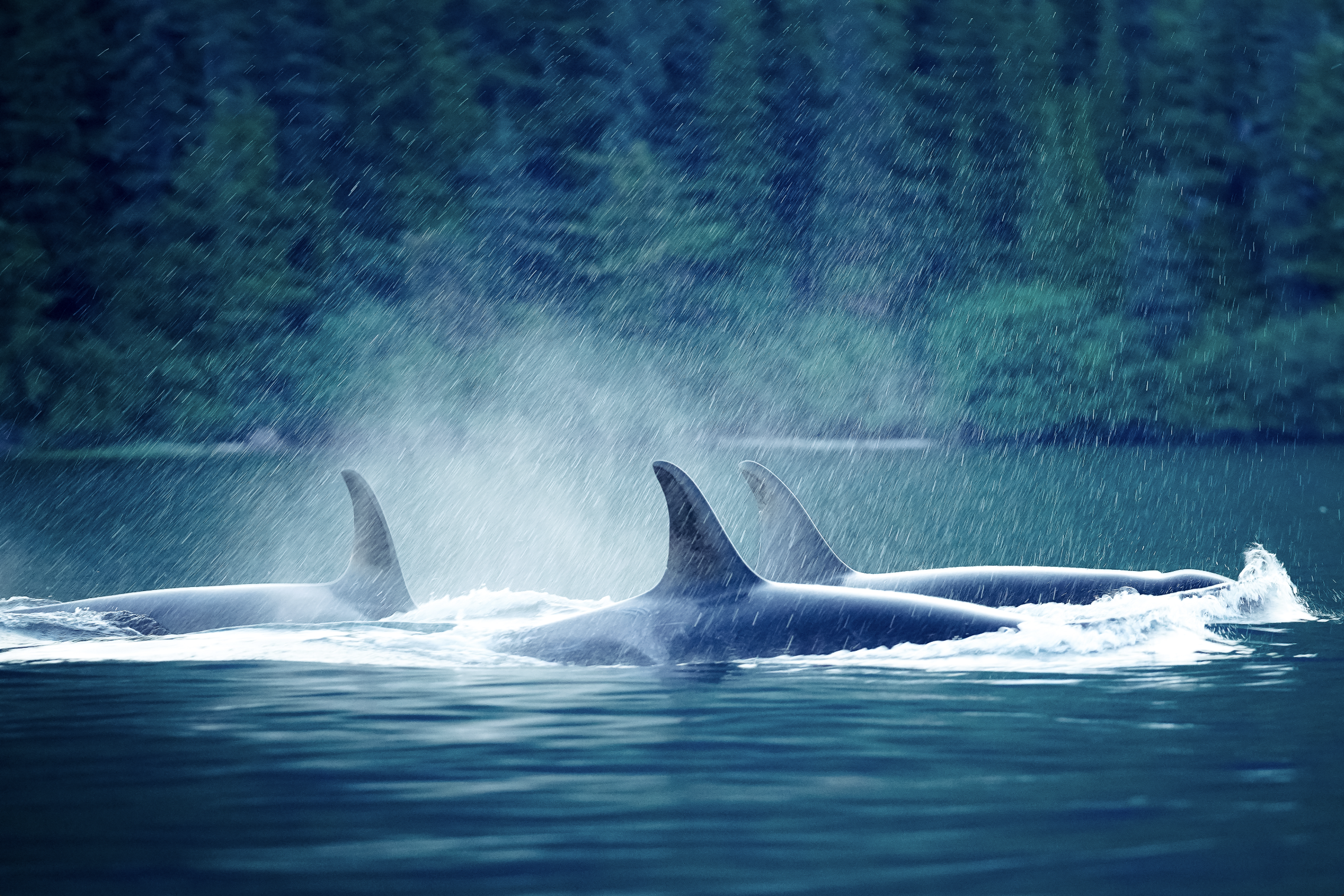 Screenshot 2024-01-25 at 10.02.04 PM.png