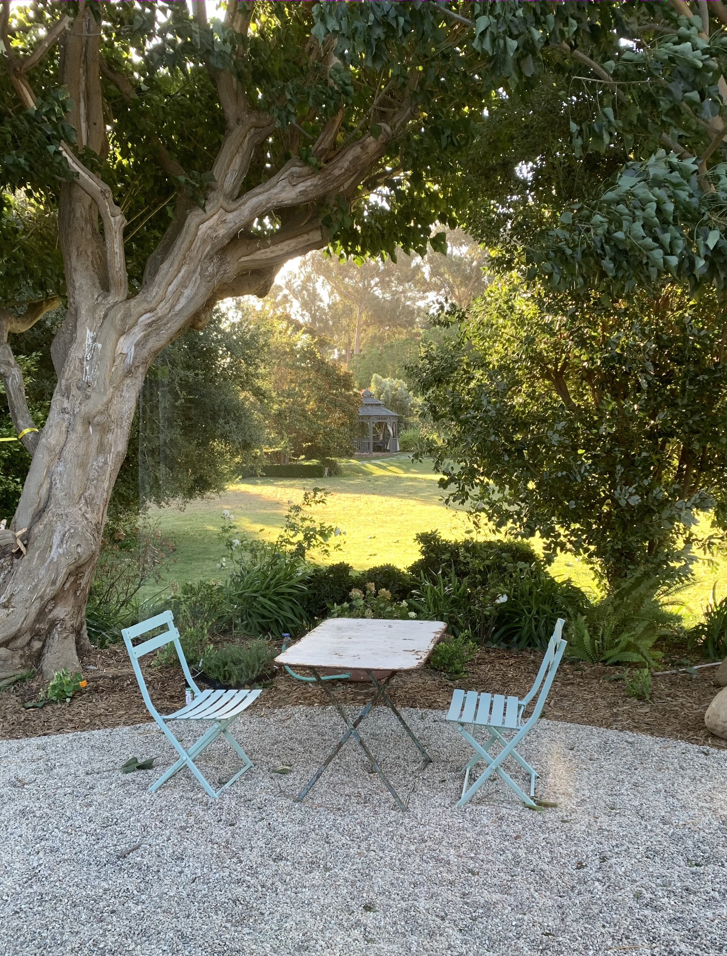 Canyon Project- Back Garden