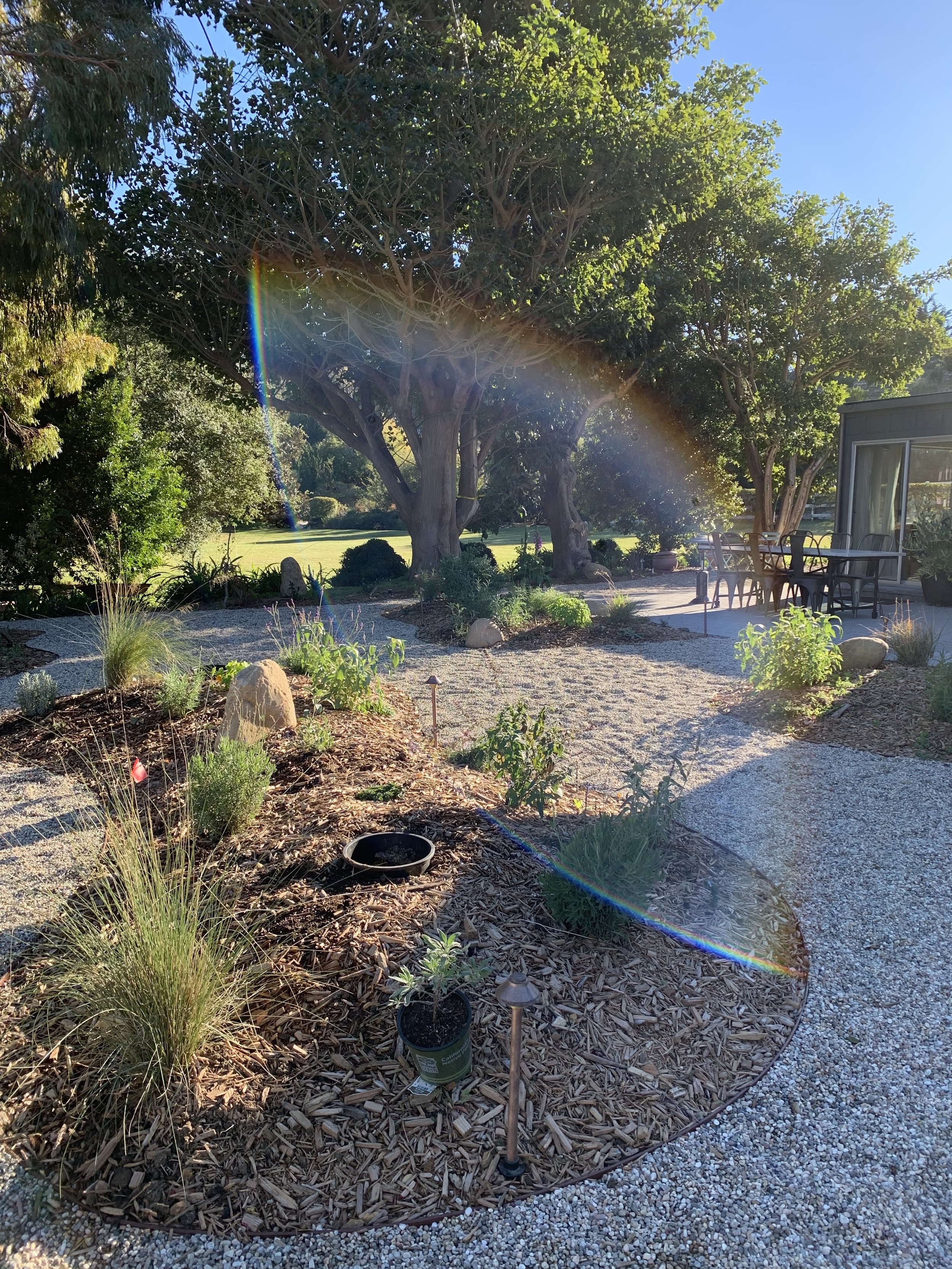 Canyon Project- Back Garden