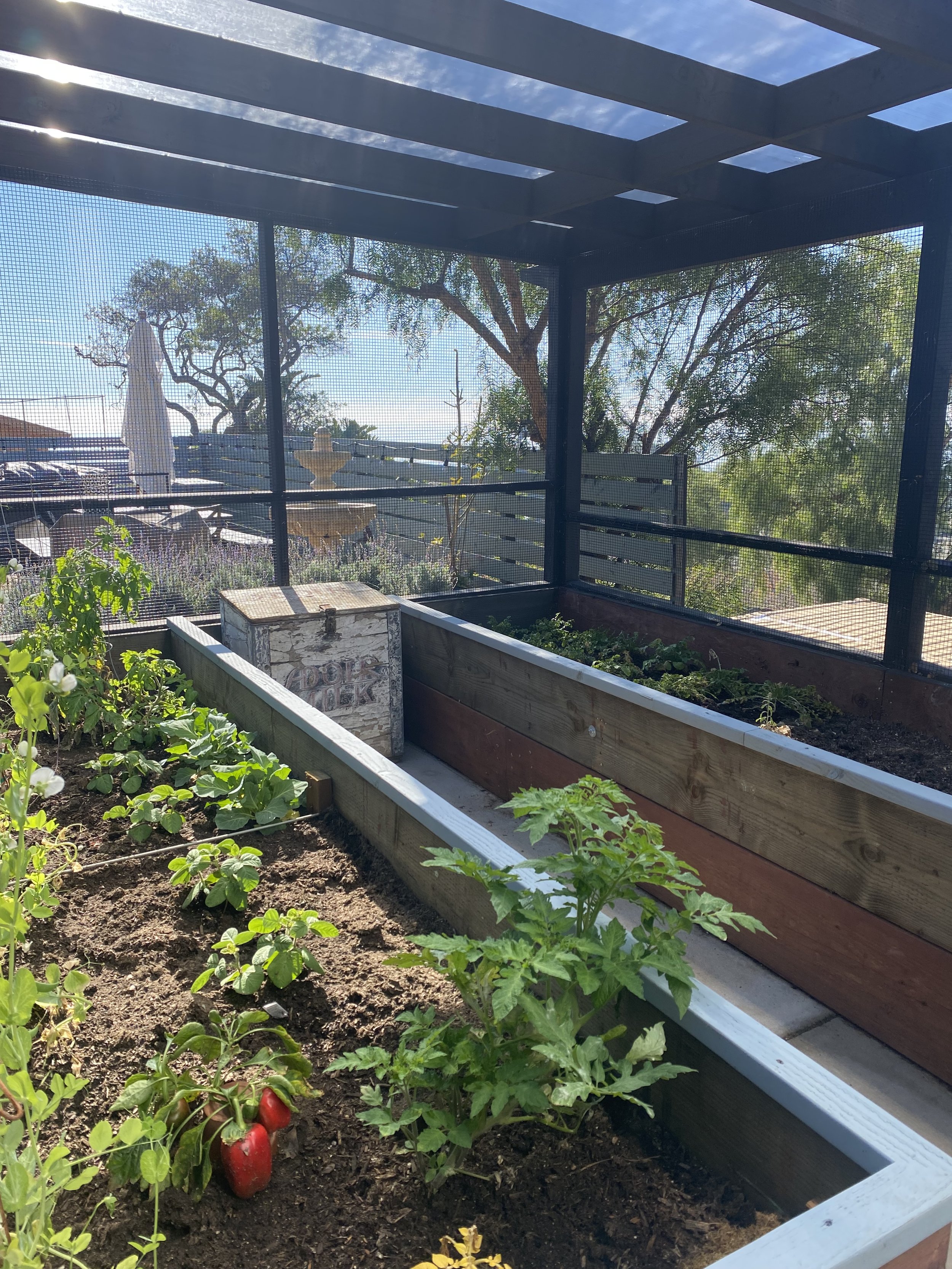 PCH Project- Greenhouse