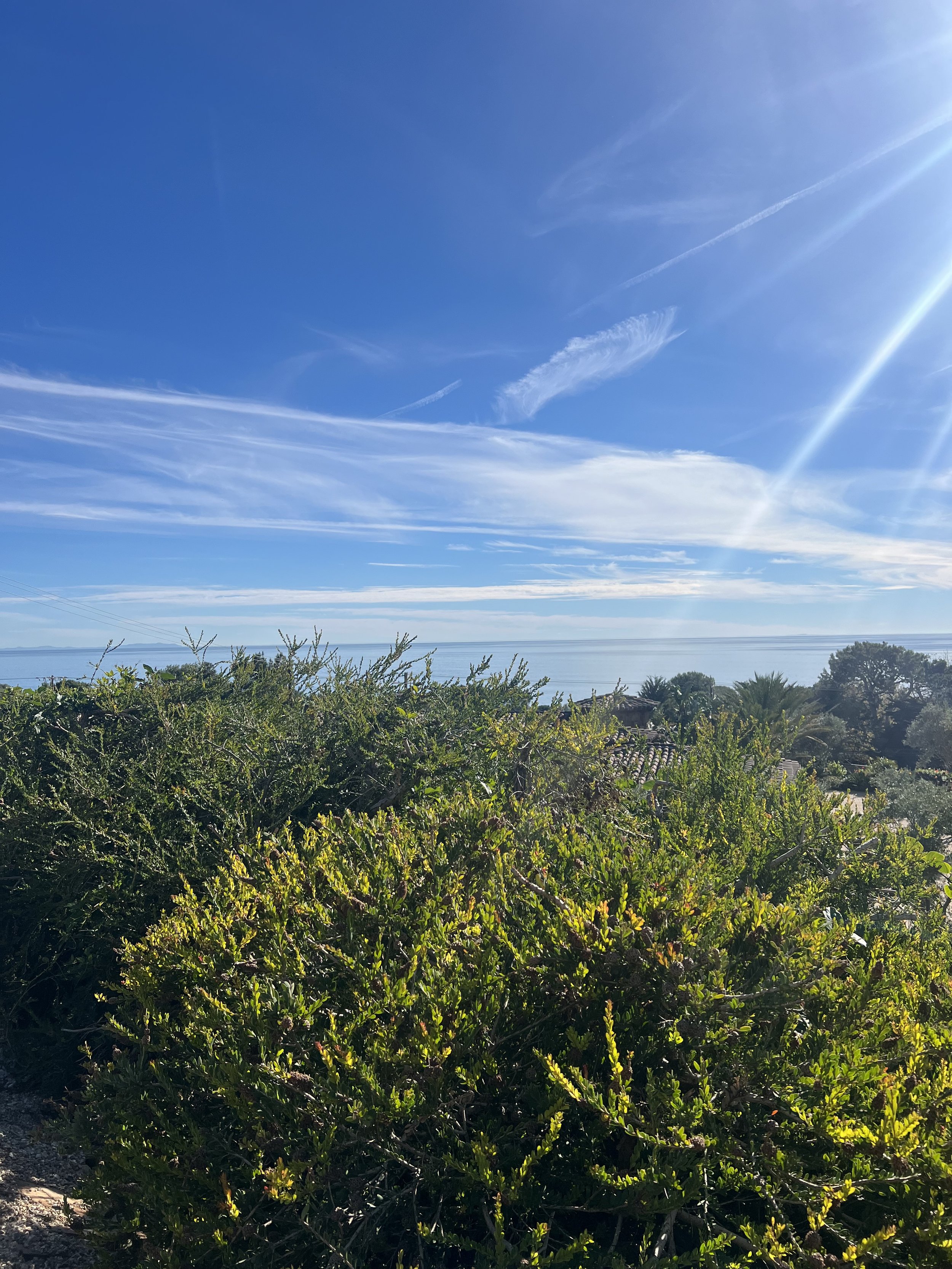 IMG_7301.jpeg