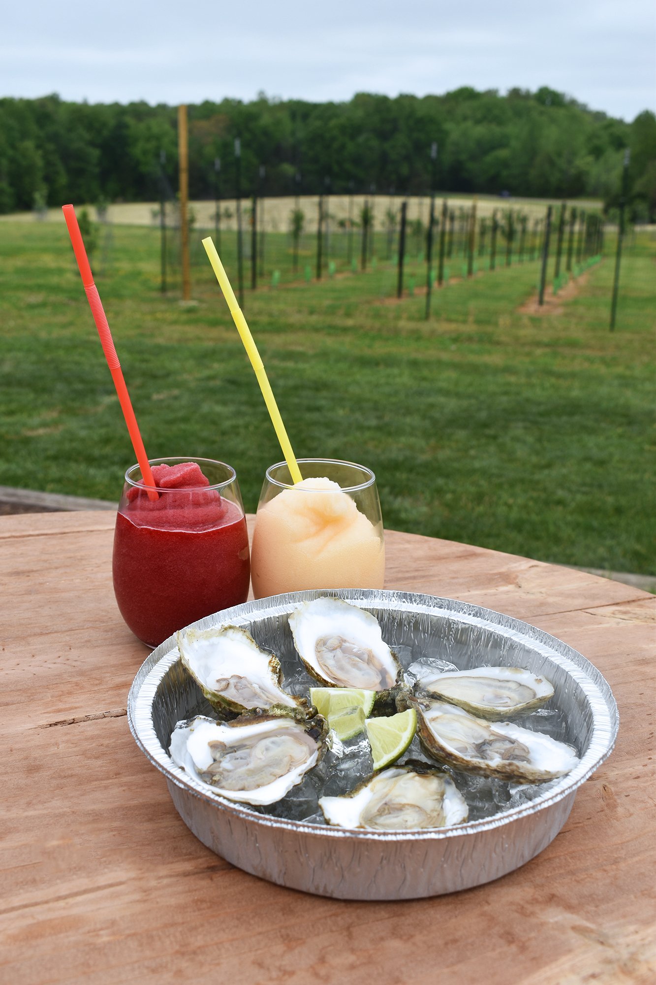 1-oyster-roast-at-winery-on-the-ridge-18.jpg