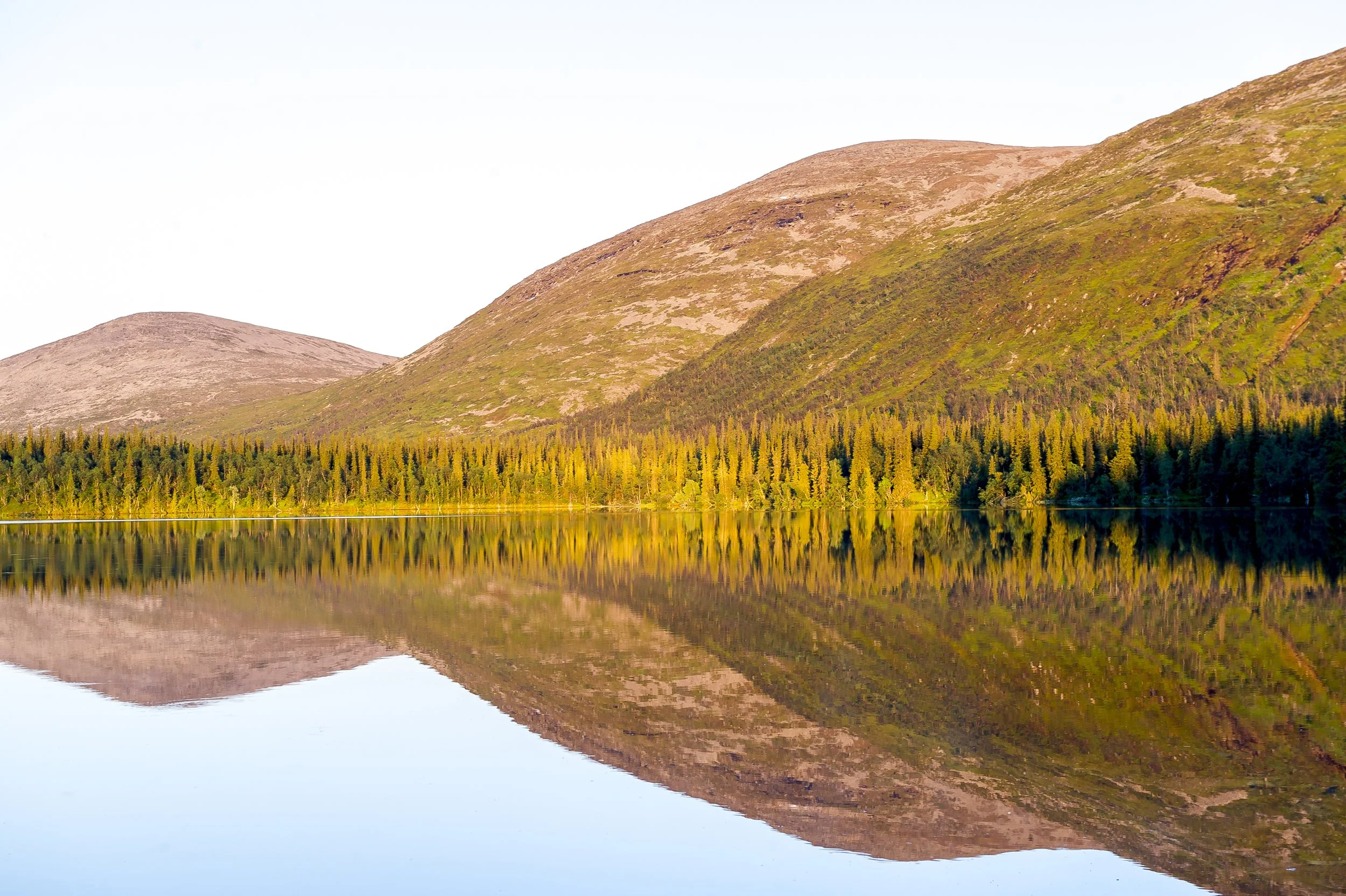 Kesäyö, Sarvijärvi, Pallas.jpg
