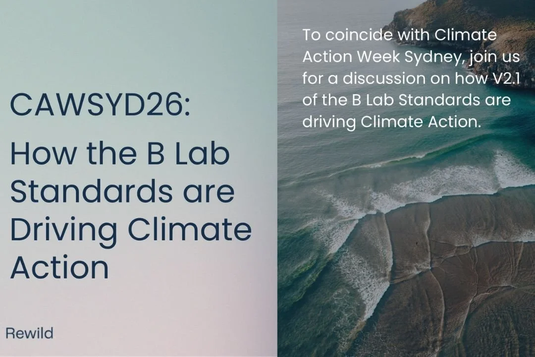 How the B Lab Standards are Driving Climate Action​