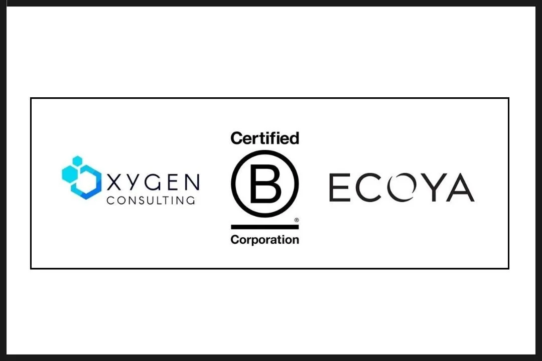 Recertifying under the new B Corp Standards – what to do and where to start