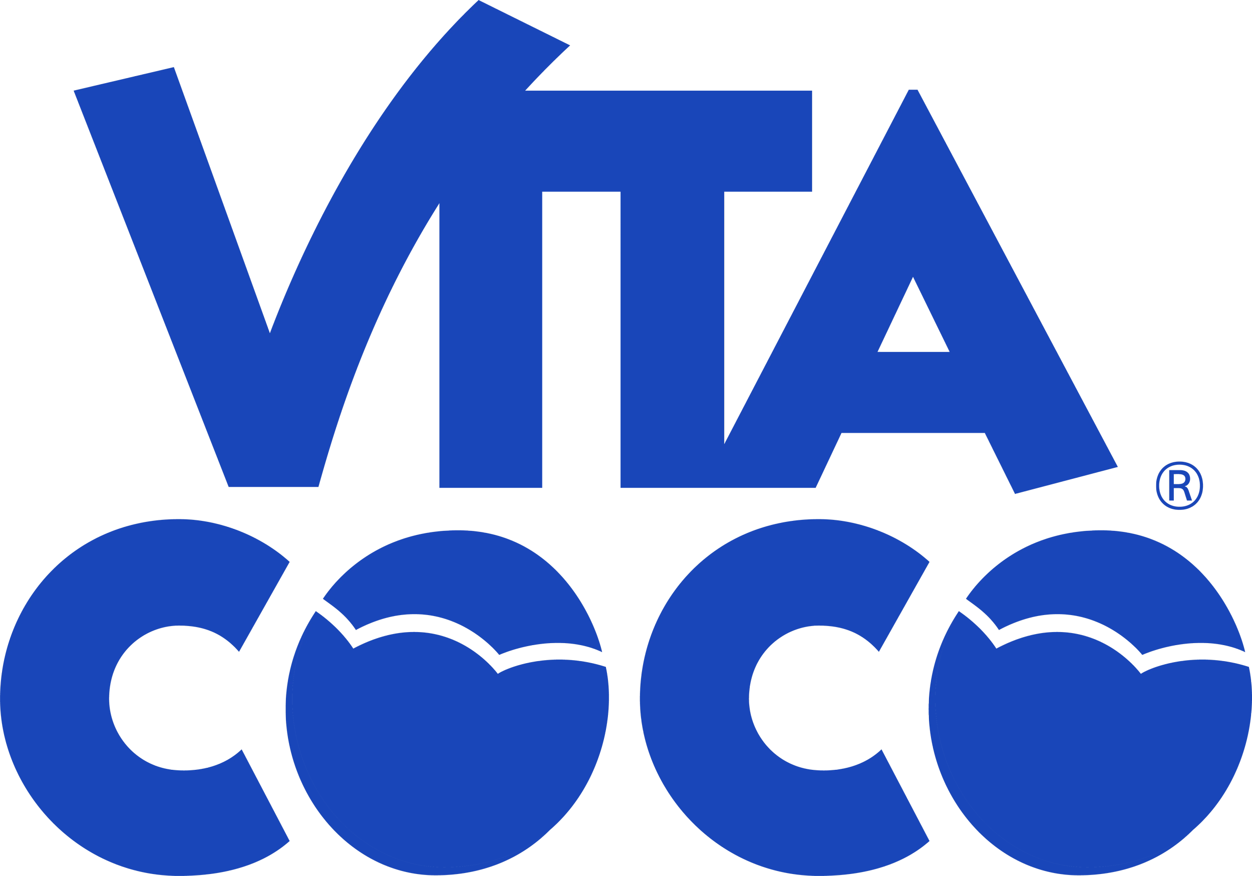 Vita coco logo