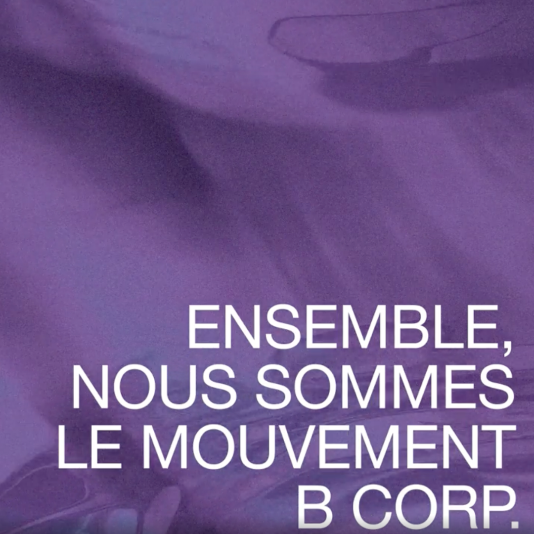 B Corp et fiers de l'être ! 🫶 

Notre mission chez AGOTERRA : accélérer la transition agroécologique, grâce aux financements d'entreprises engagées.

Notre certification hashtag#BCorp témoigne de ce que nous avons accompli jusqu'à présent et nous ne