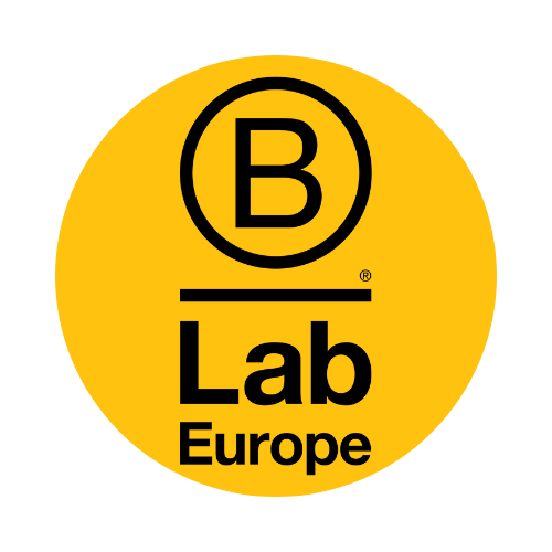 Emerging B Corp Markets