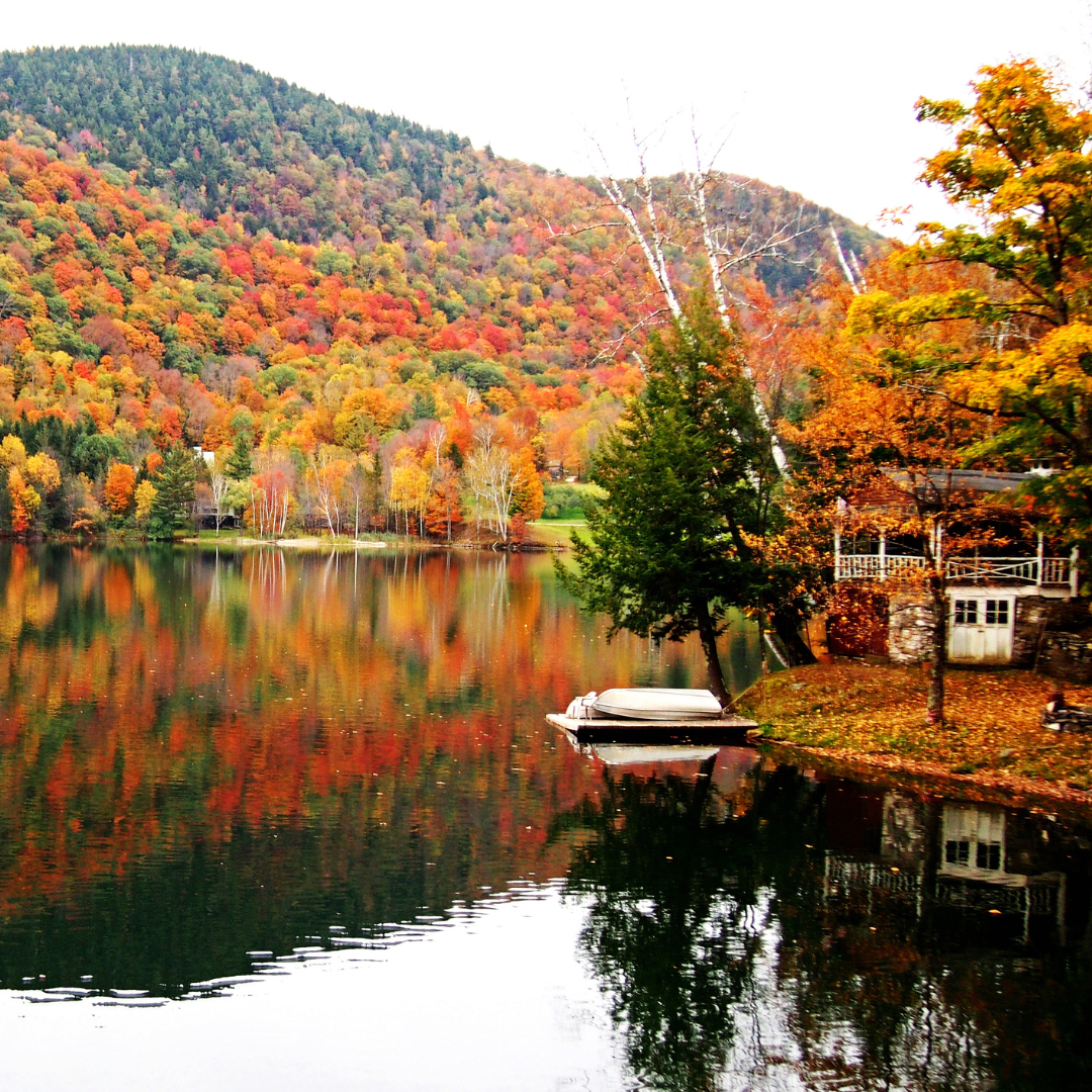 Autumnal setting with orange and green leaves on trees around a lake
