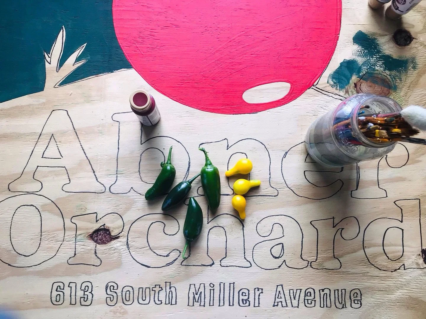 First picks from the garden! 🌞🤪