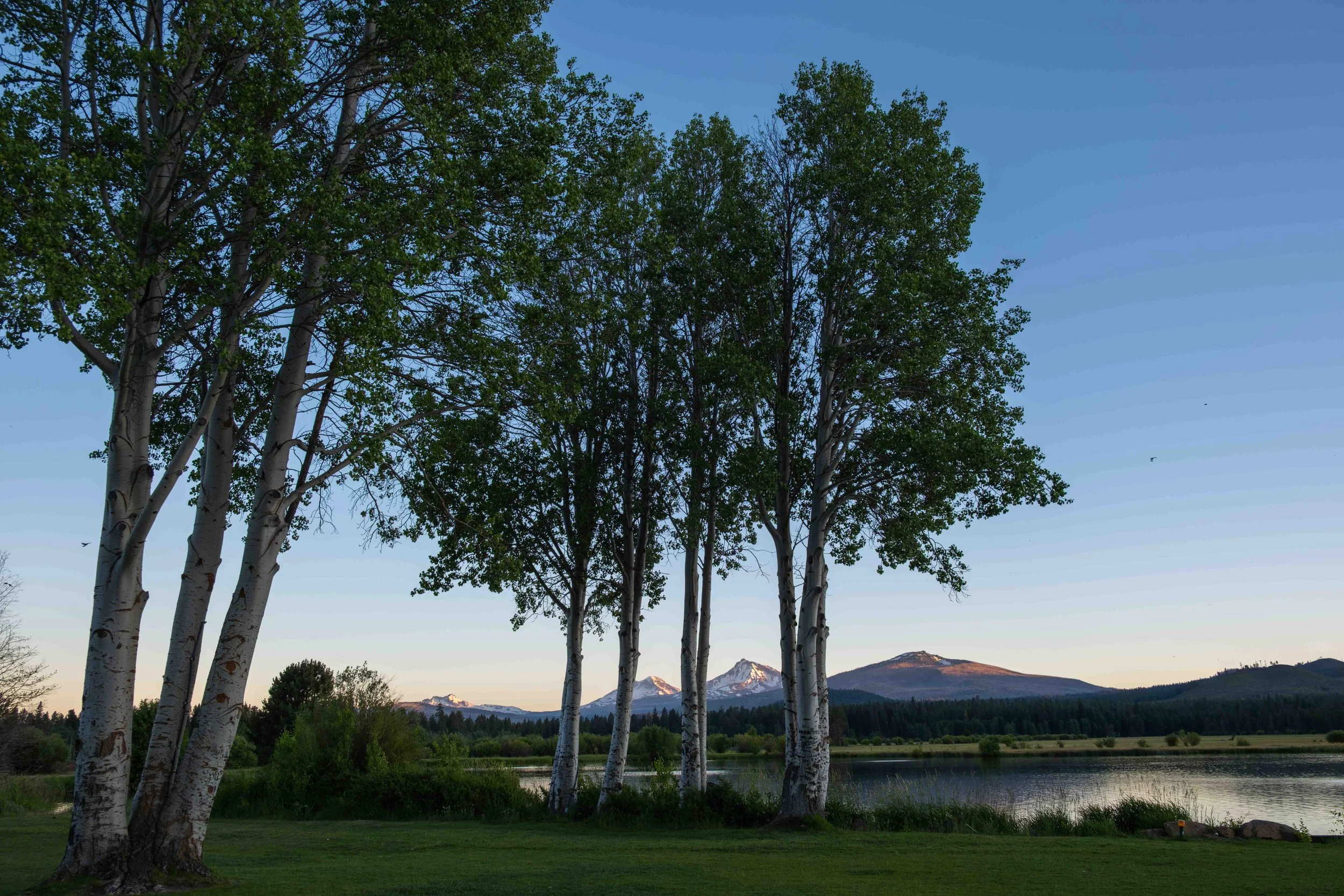 (11) Sisters at Sunset 06.28.25