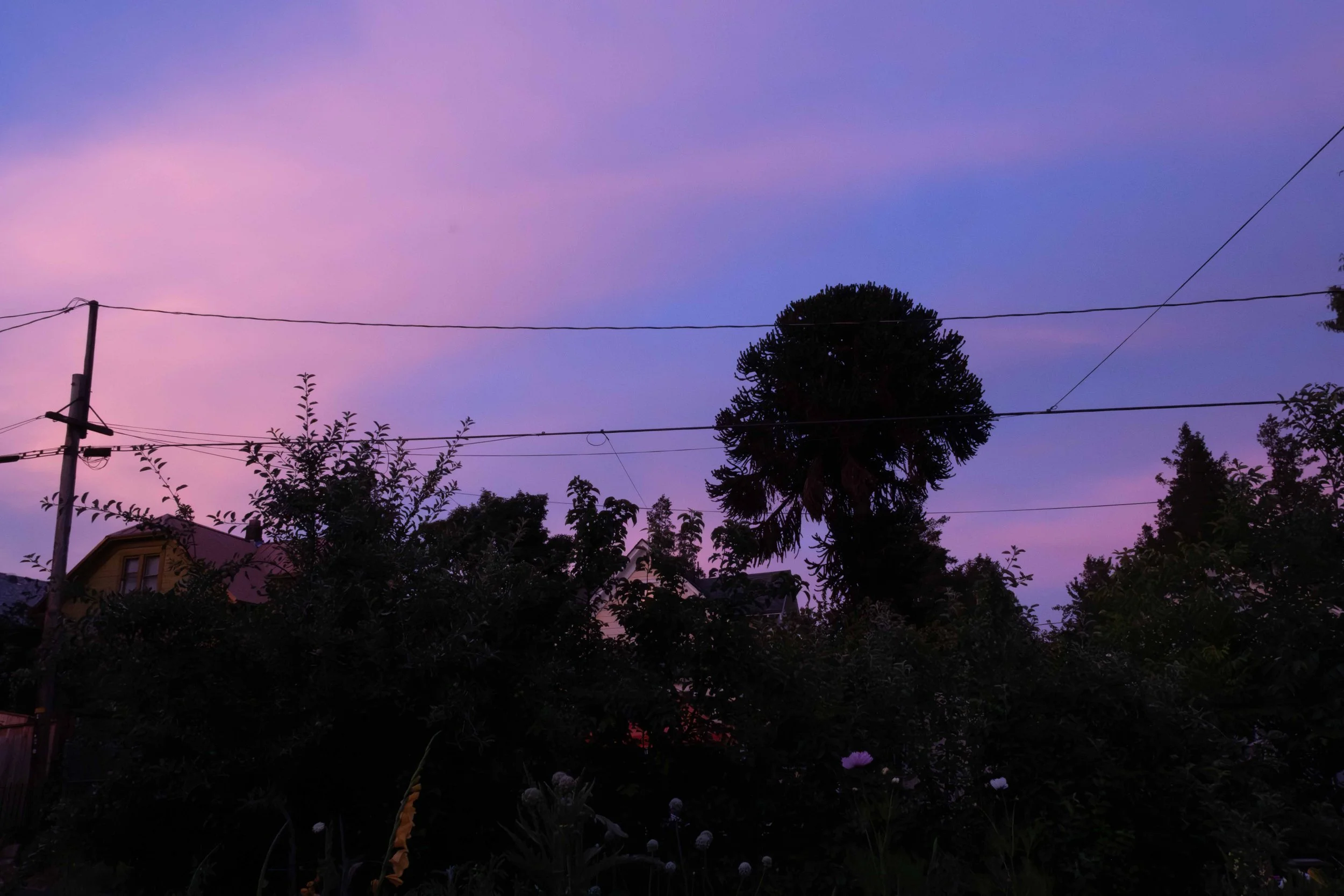 (14) City Sunset 07.03.25
