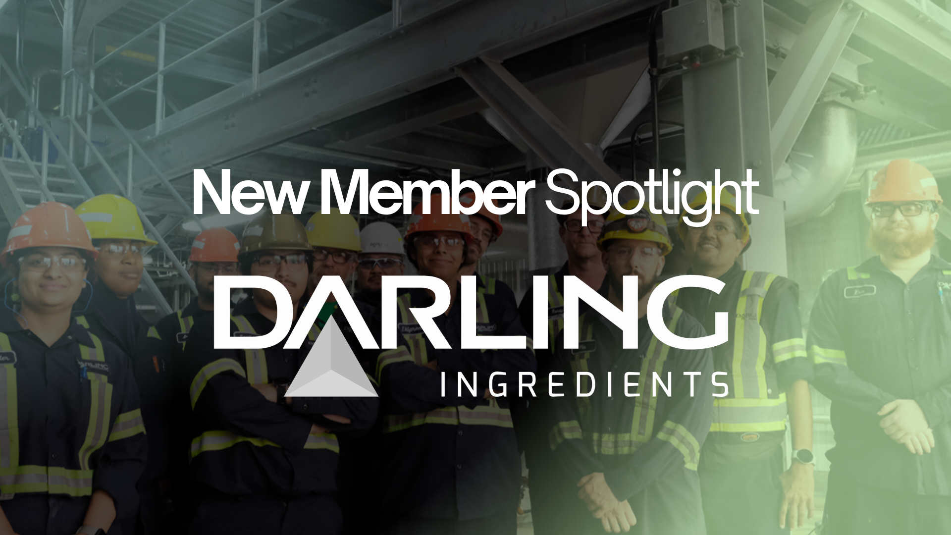 New Member Spotlight: Darling Ingredients