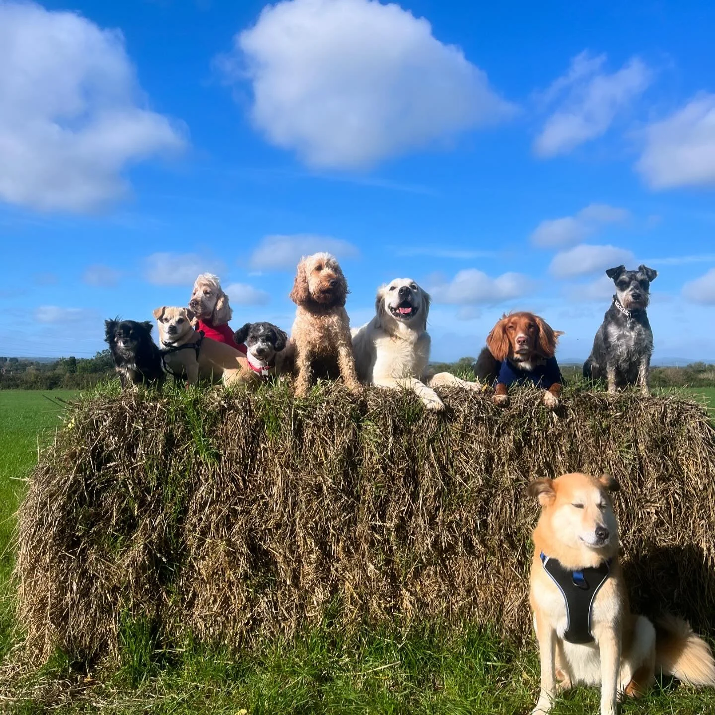 On top of the world 🌎 😃