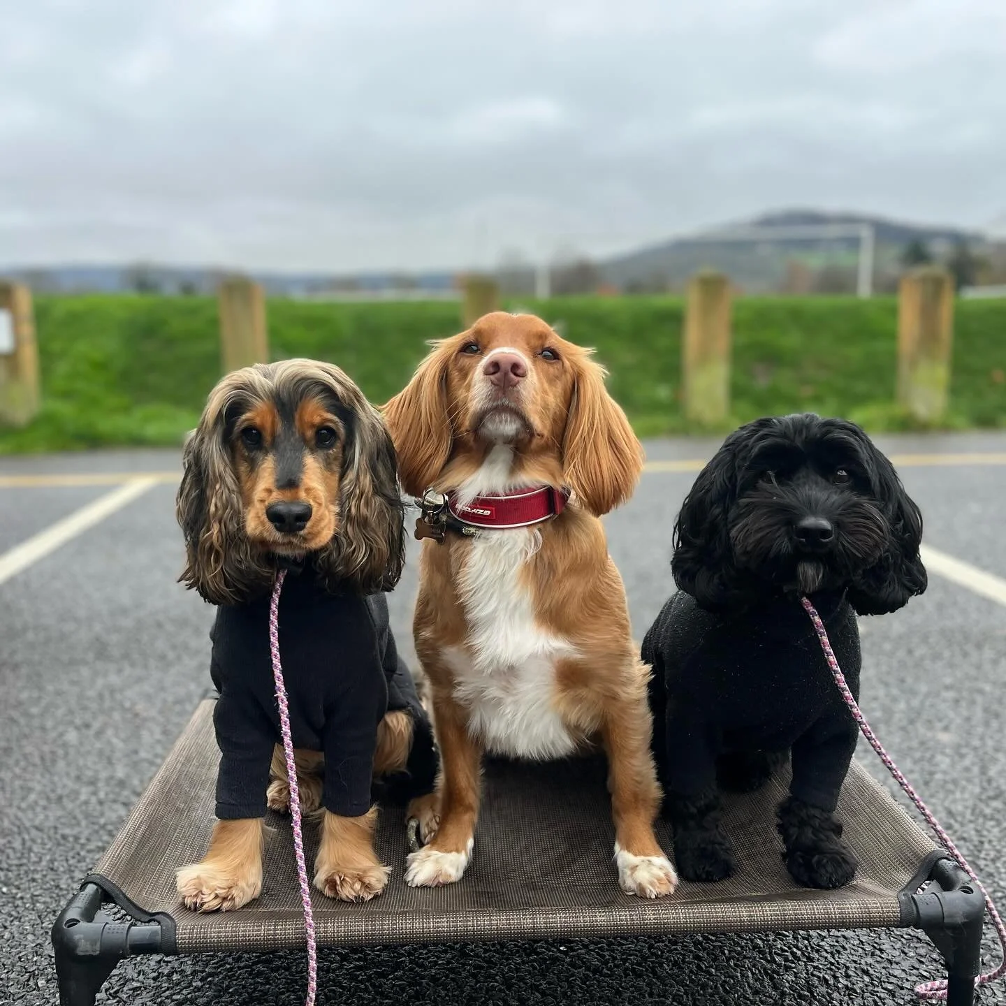 Can&rsquo;t choose my favourite pic so you guys choose :-)