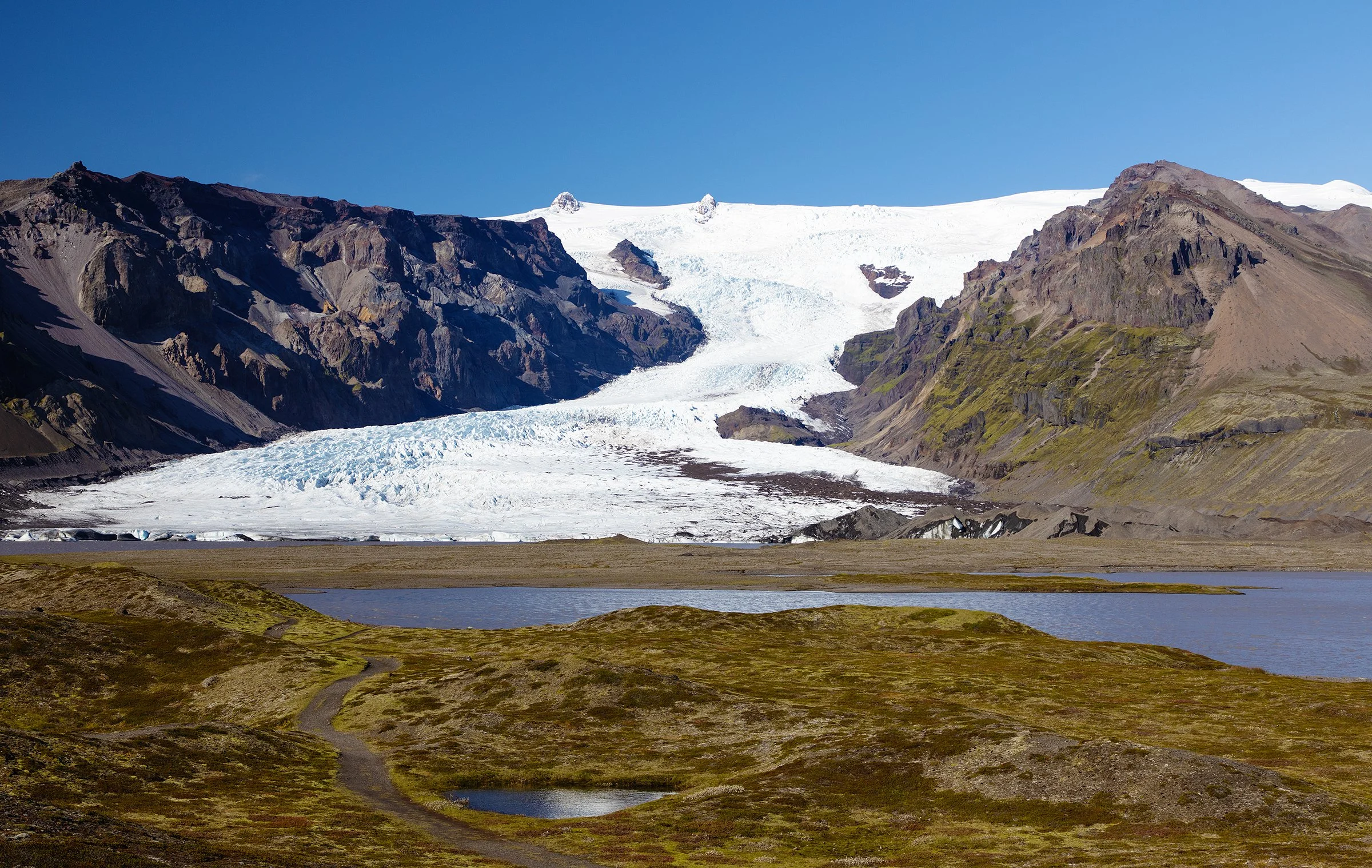 Fjallsarlon copy.jpg