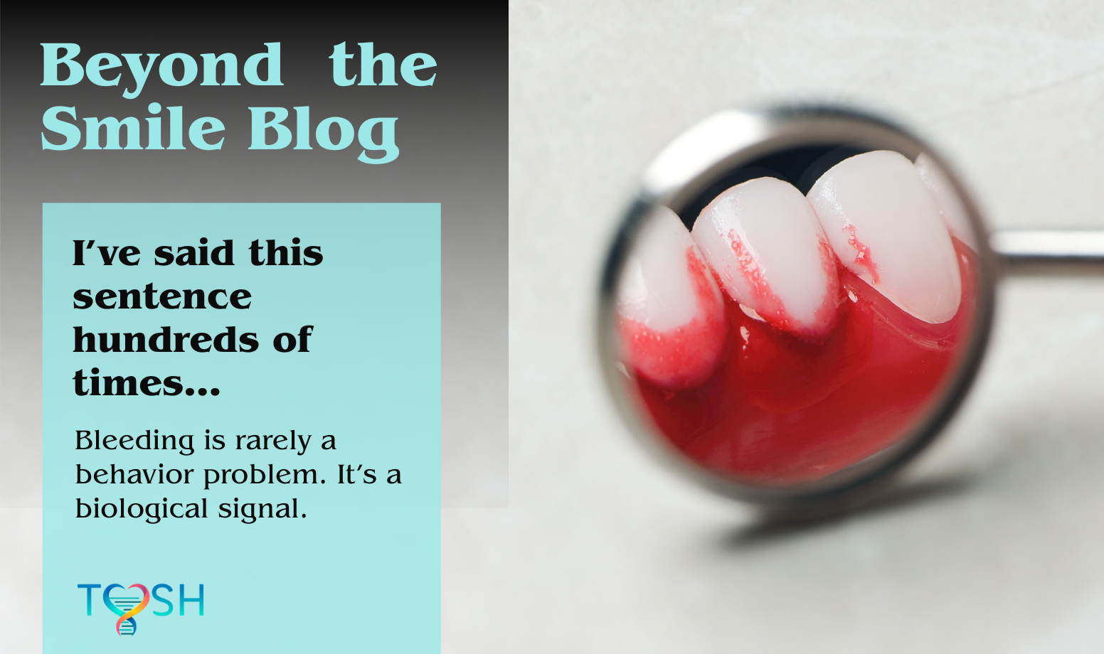 I’ve said this sentence hundreds of times…