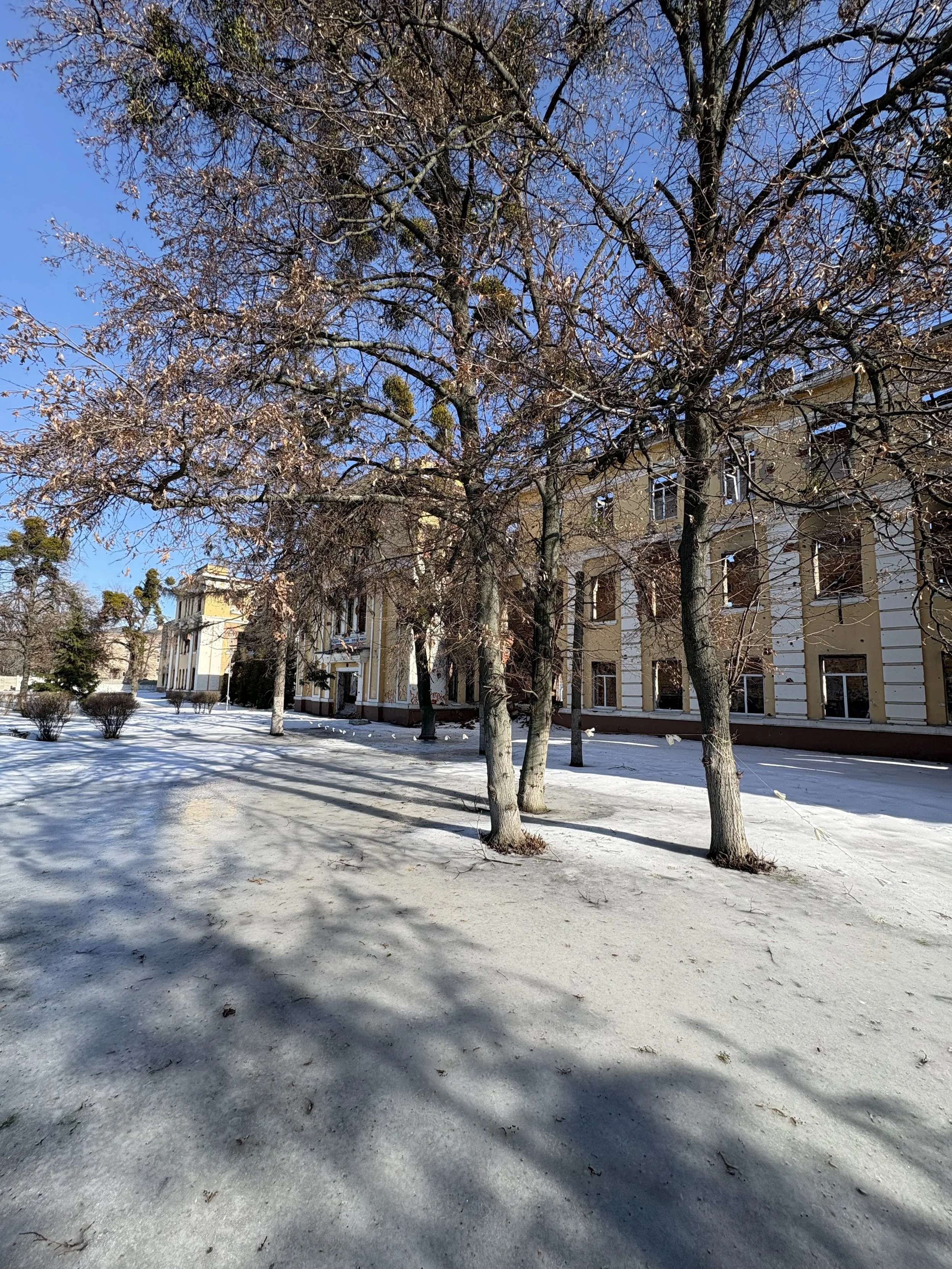 February-March Team Update