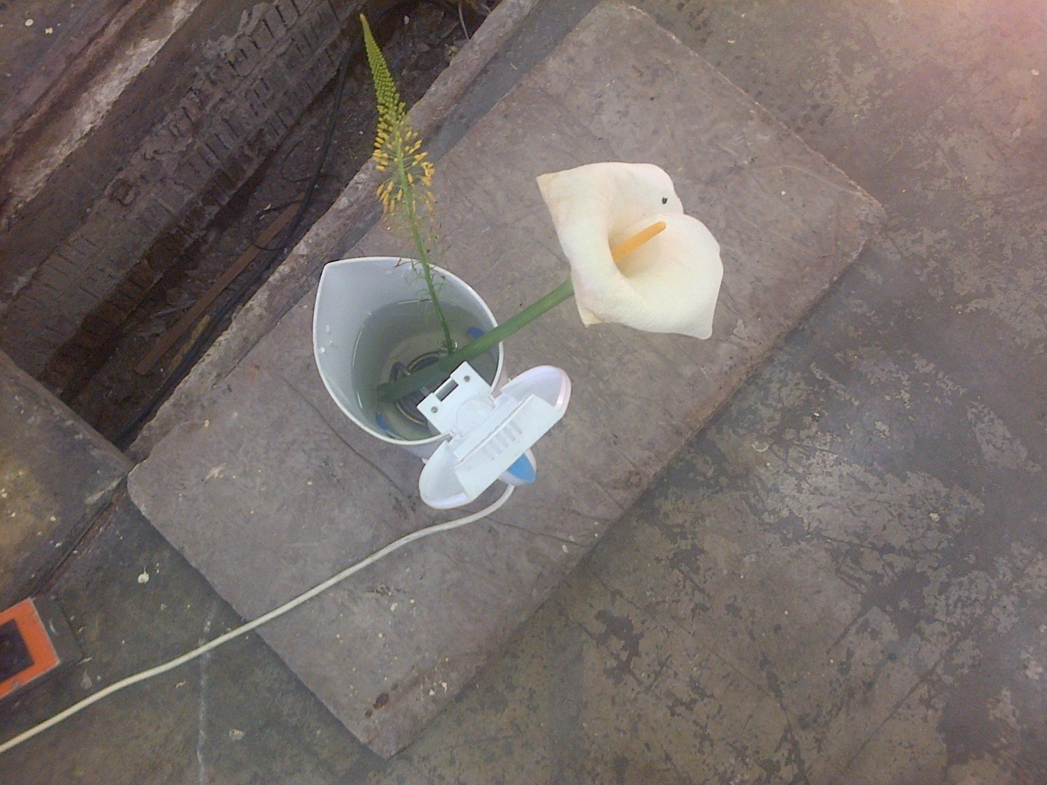 izinyoka (2013) installation detail