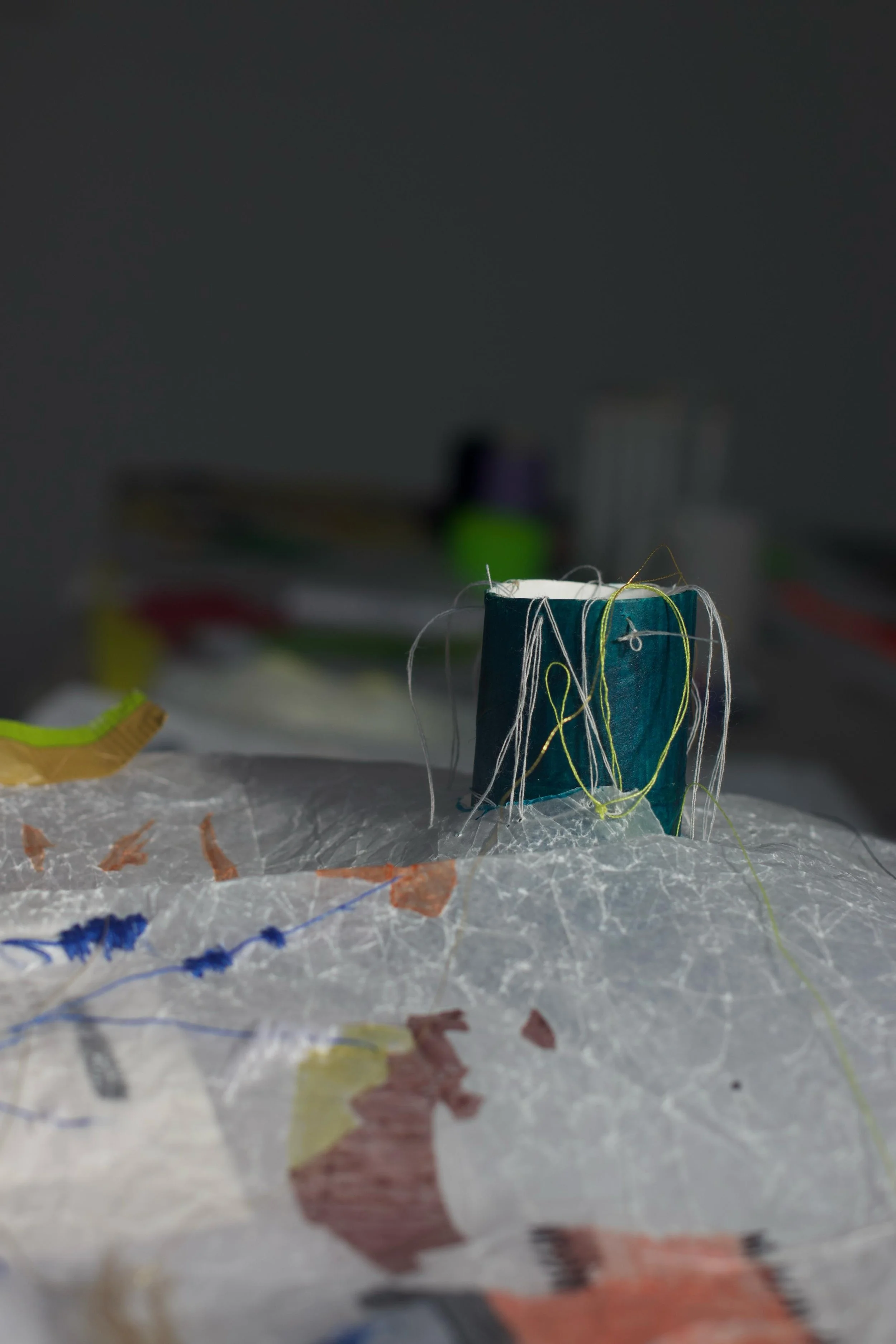 detail of a long drawing (2025)