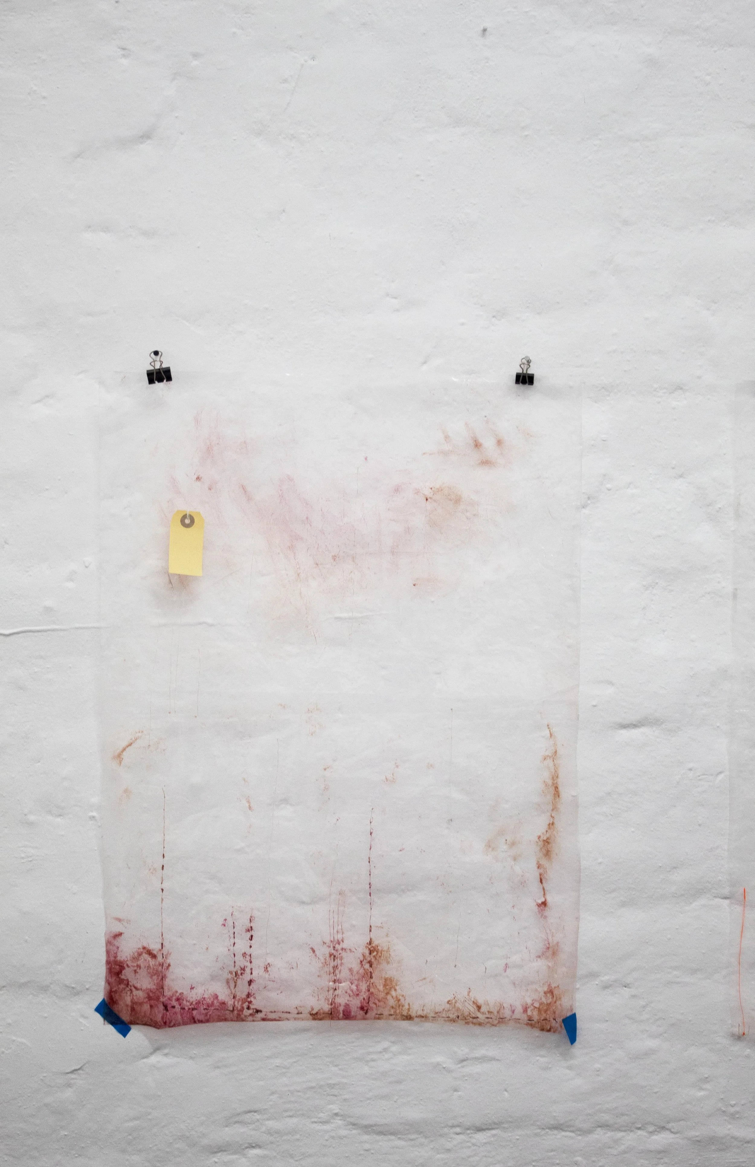 transparent plastic 2.jpg