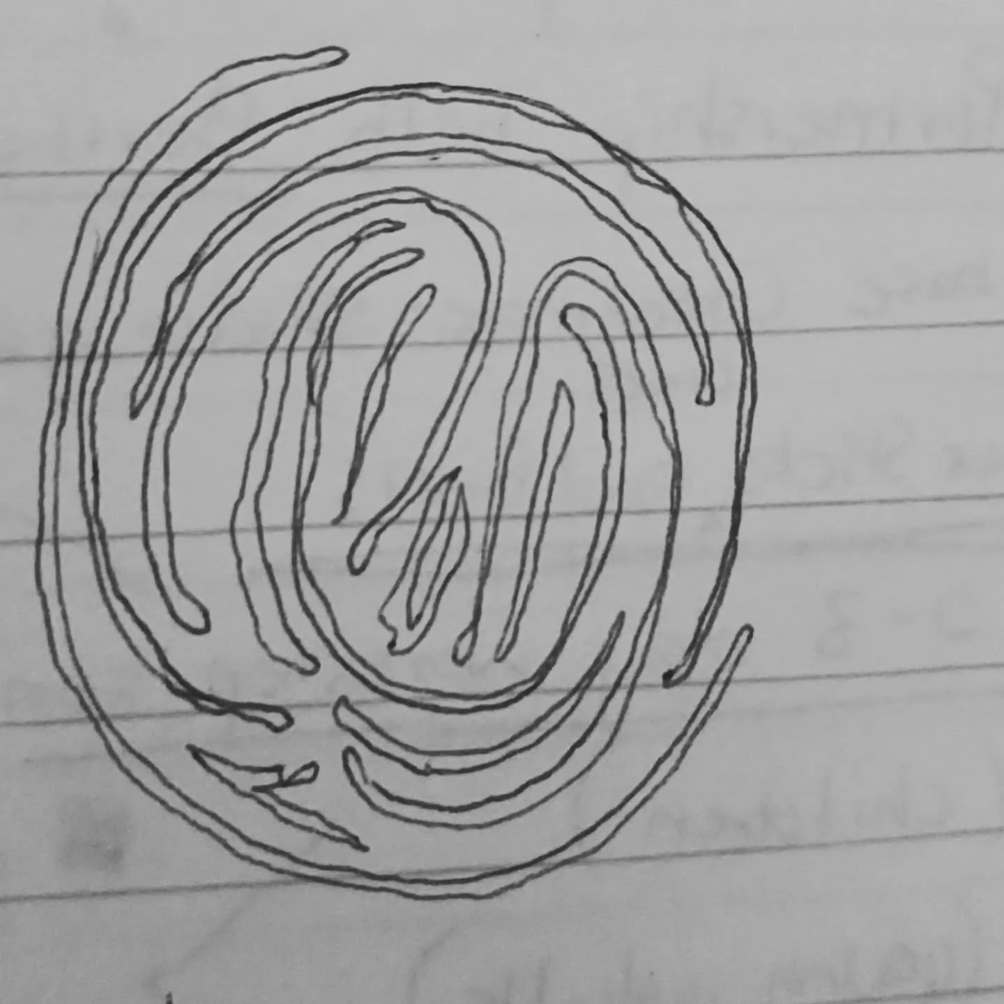 WhatsApp Image 2025-12-13 at 13.26.40 (1).jpeg