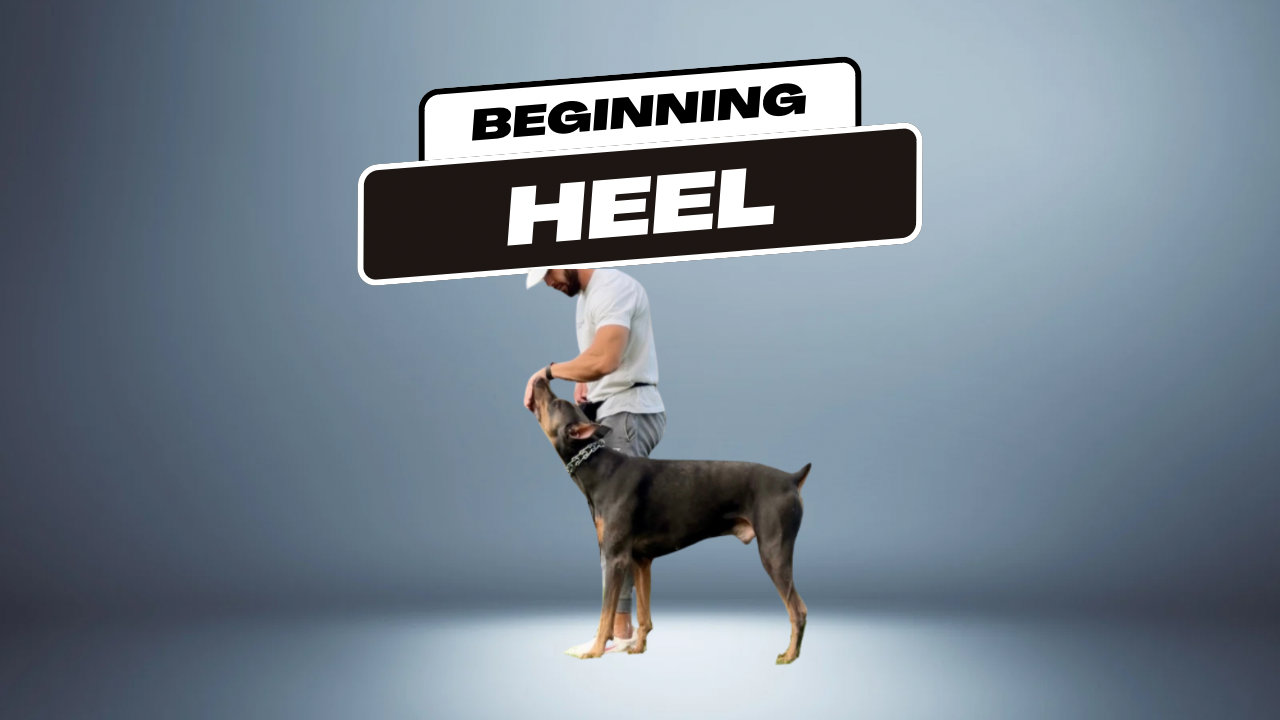 6A7C038F-A1A0-407B-93DA-6D4EAAC5C6D7.png
