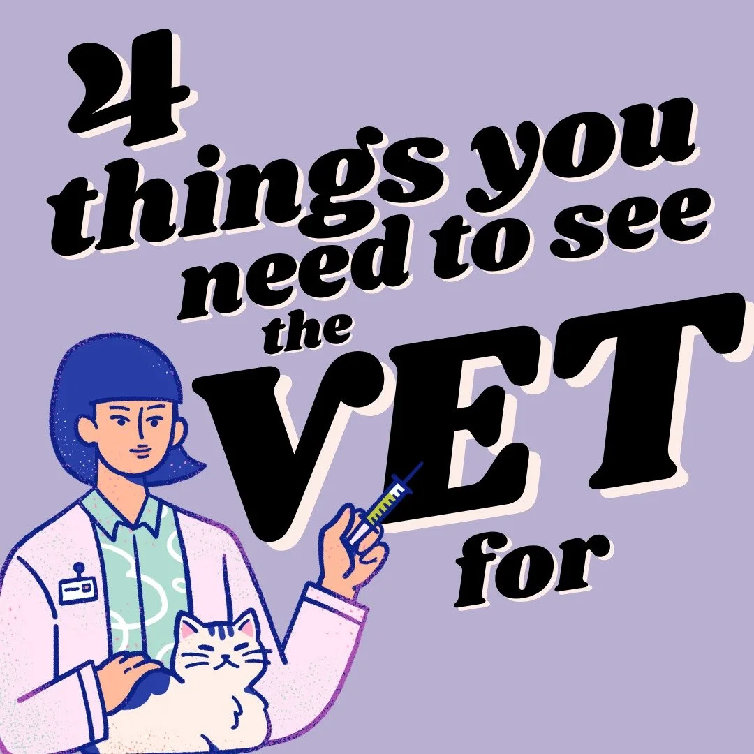 Some often overlooked behavioural signs of pain and/or illness.