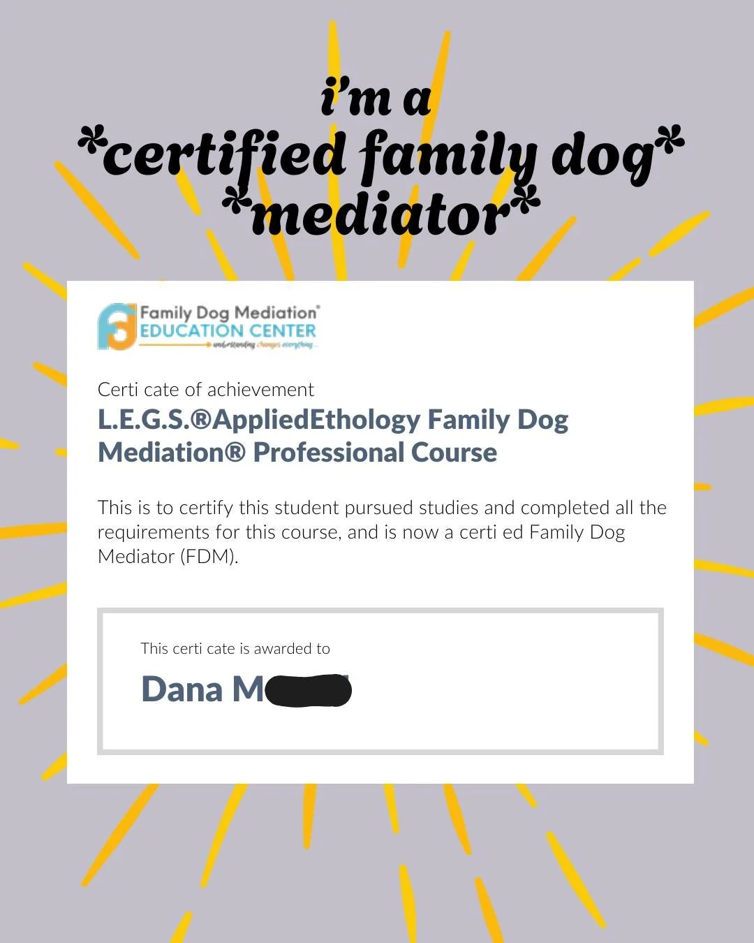 oops i actually completed this last year but forgot until now (c'est le grief) but i got some new credential letters behind my name~ which isn't the point but it makes me feel accomplished ok!! can't wait to share all this fun stuff this year!