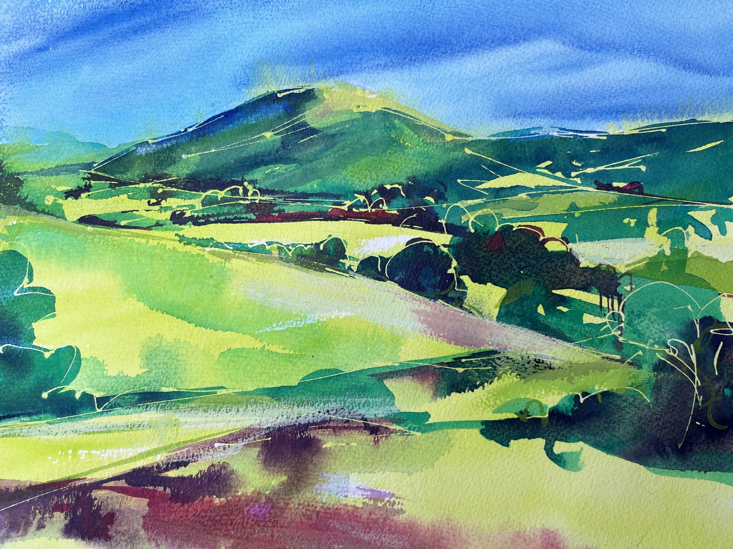 IMG_1455.jpeg Earl's Hill, Pontesbury Dandyart RachelSteeleArtist.jpeg