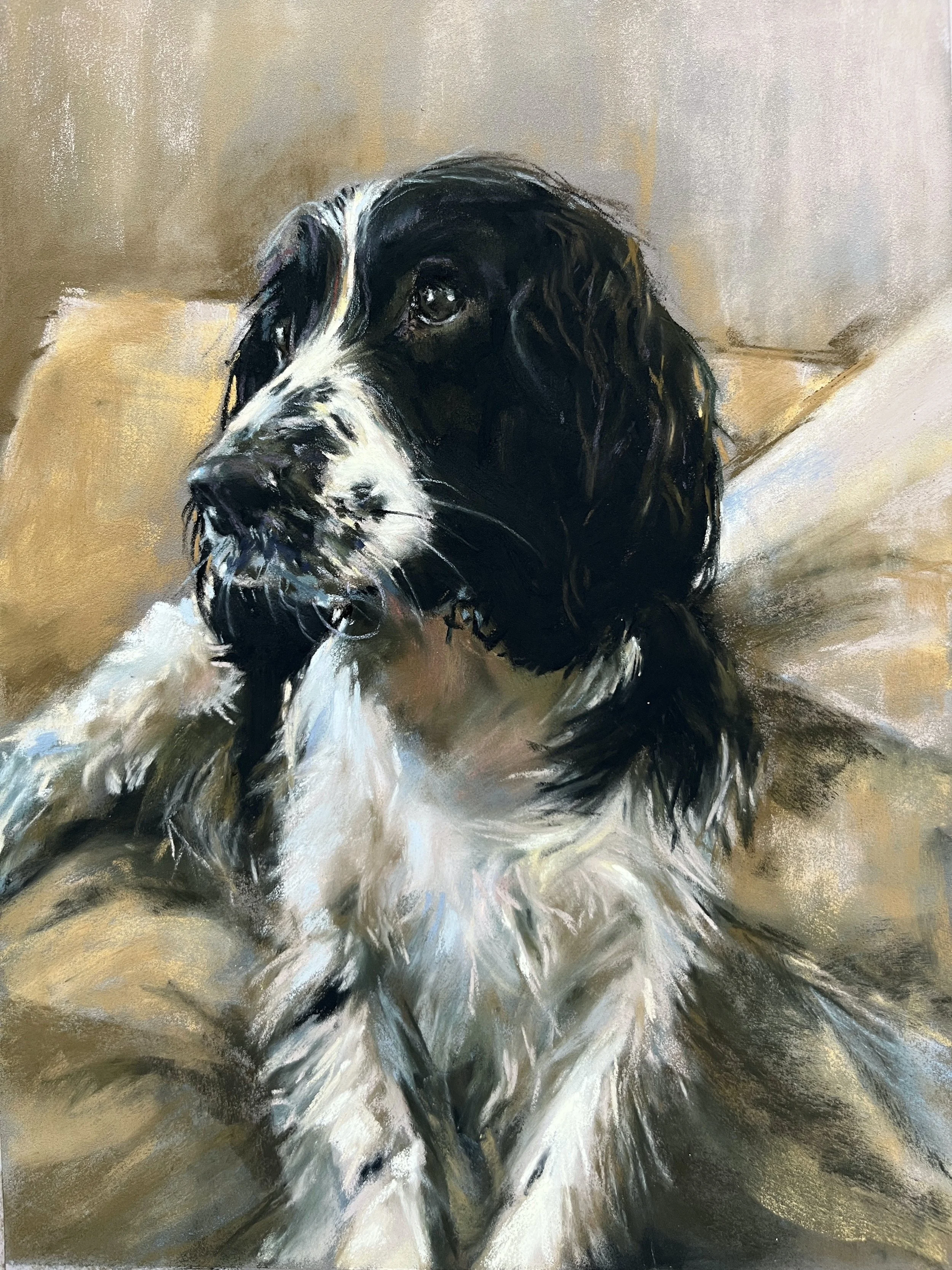 IMG_7106.jpeg Monty.jpeg