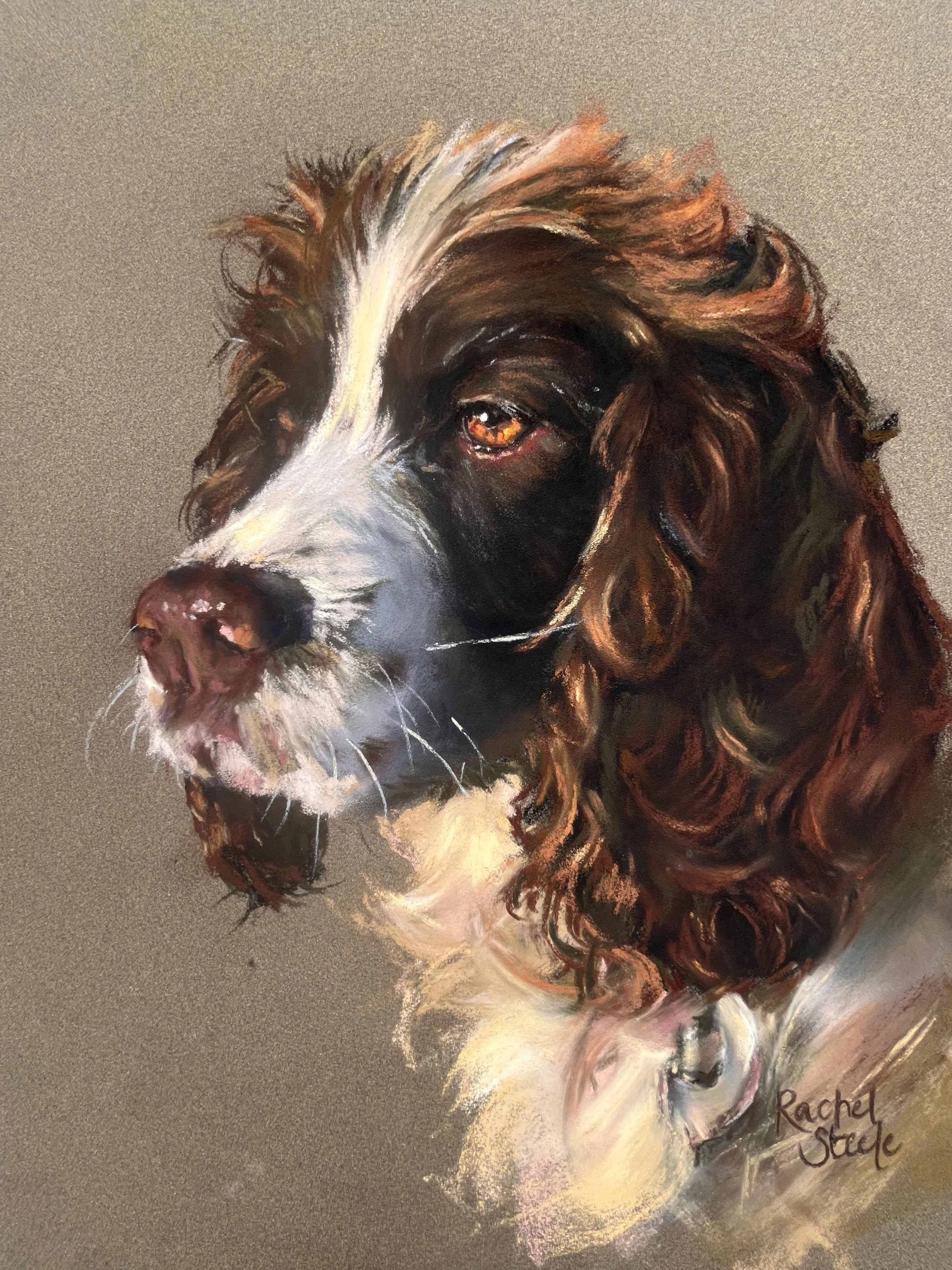 Original Pet Portrait Commission