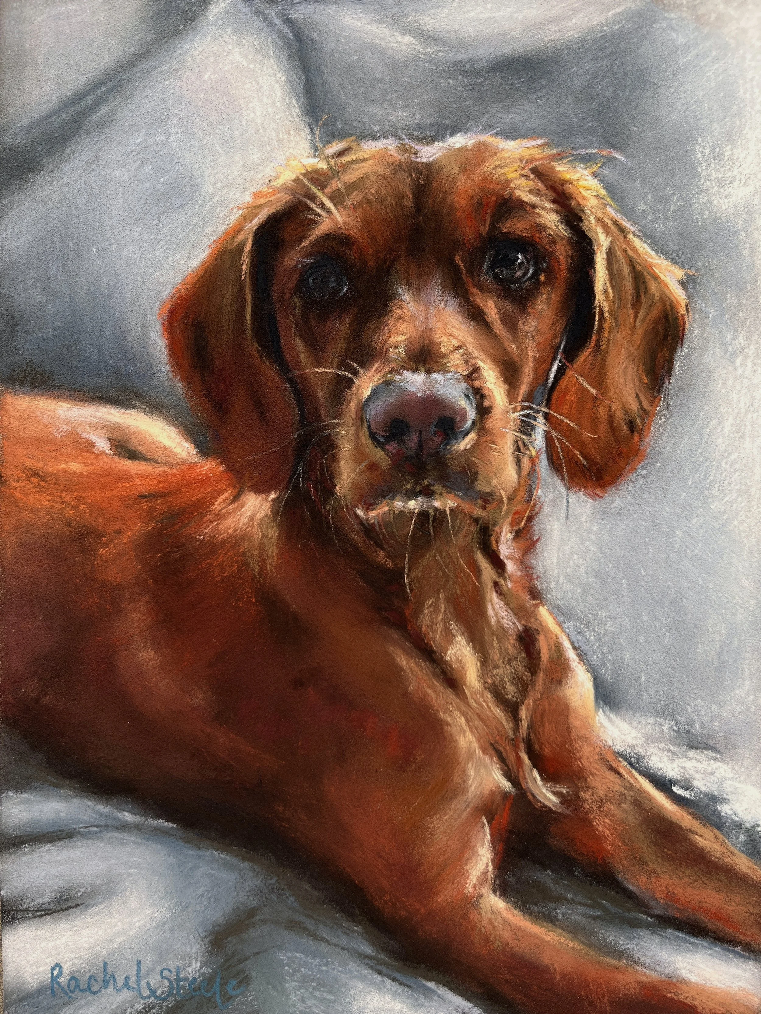 IMG_8407.jpeg Lola Pastel.jpeg