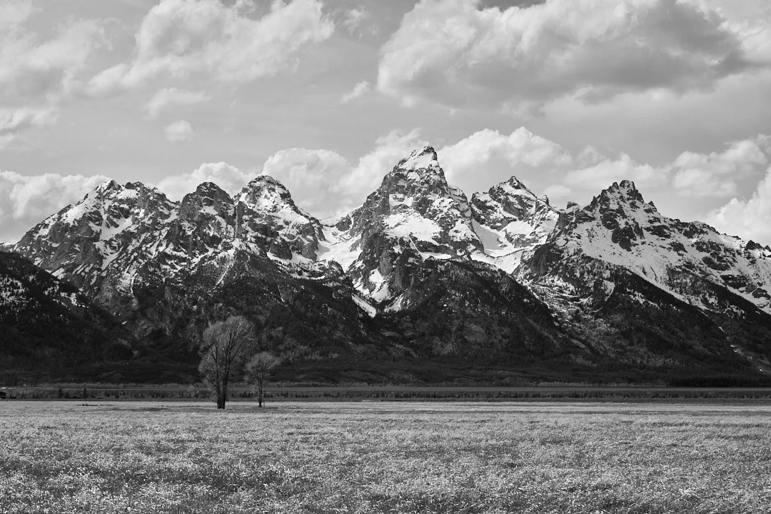 Grandness of the Tetons.jpg