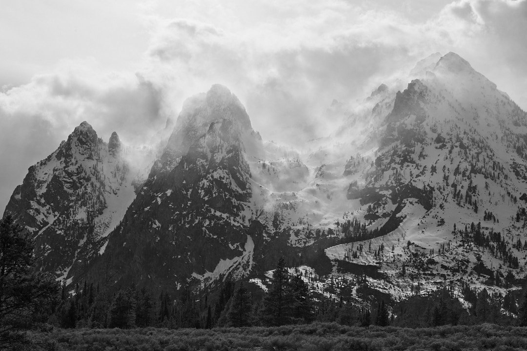Halo Tetons.jpg