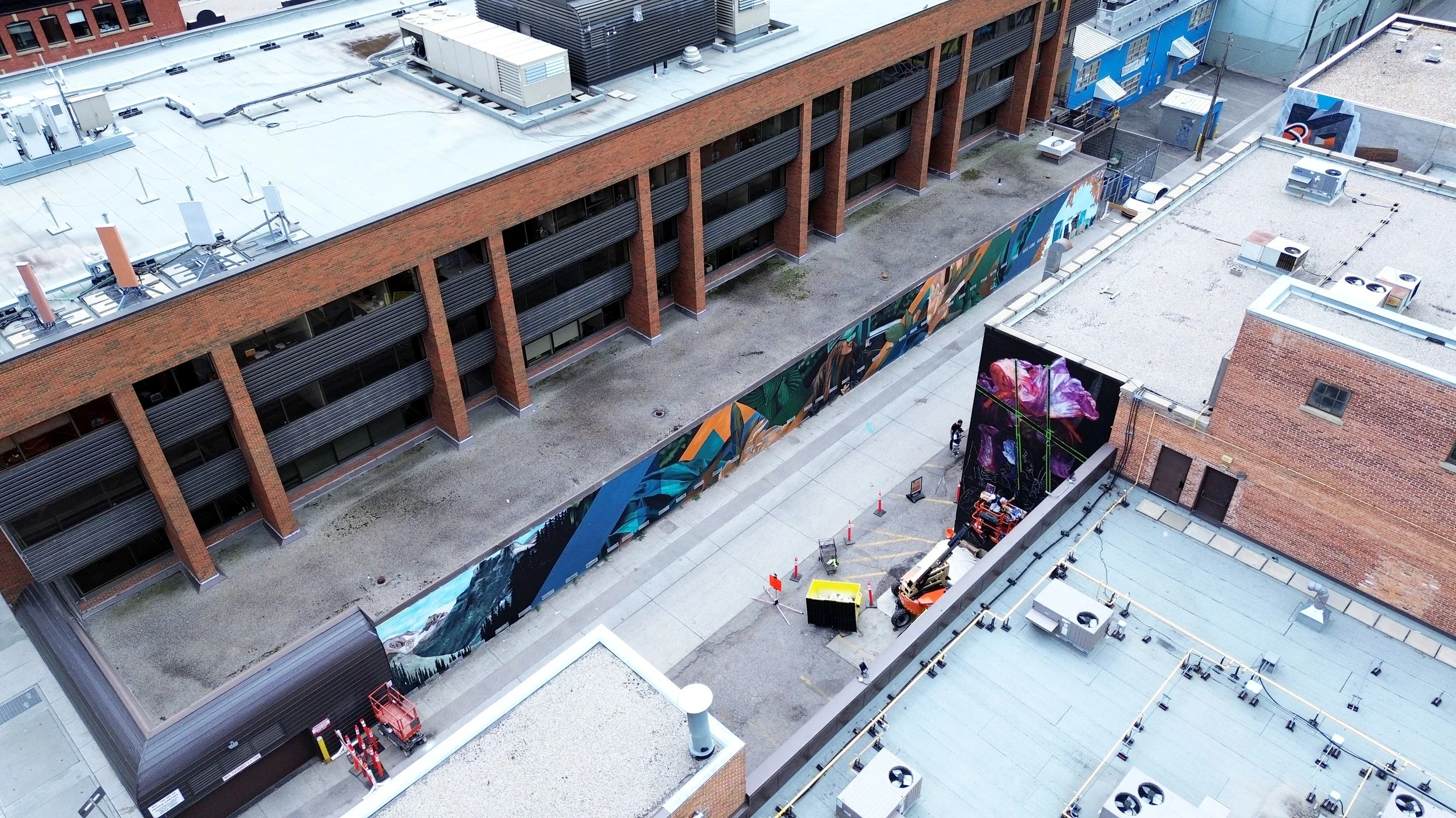 Copy of DJI_0259.JPG