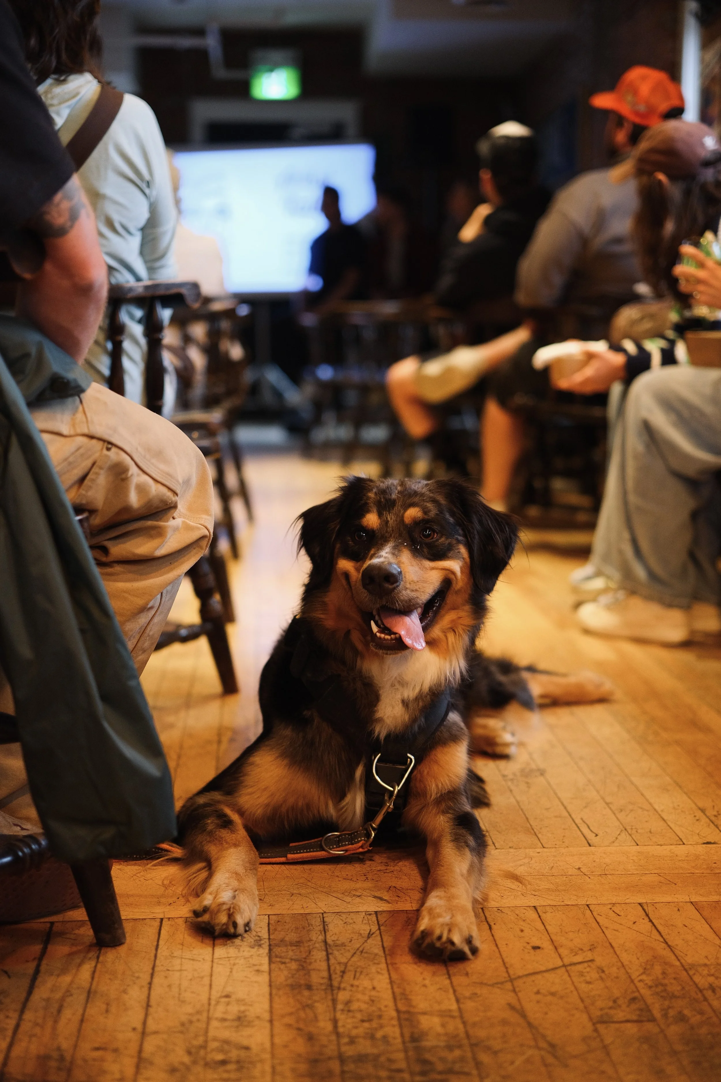 Copy of DSCF5832.JPG