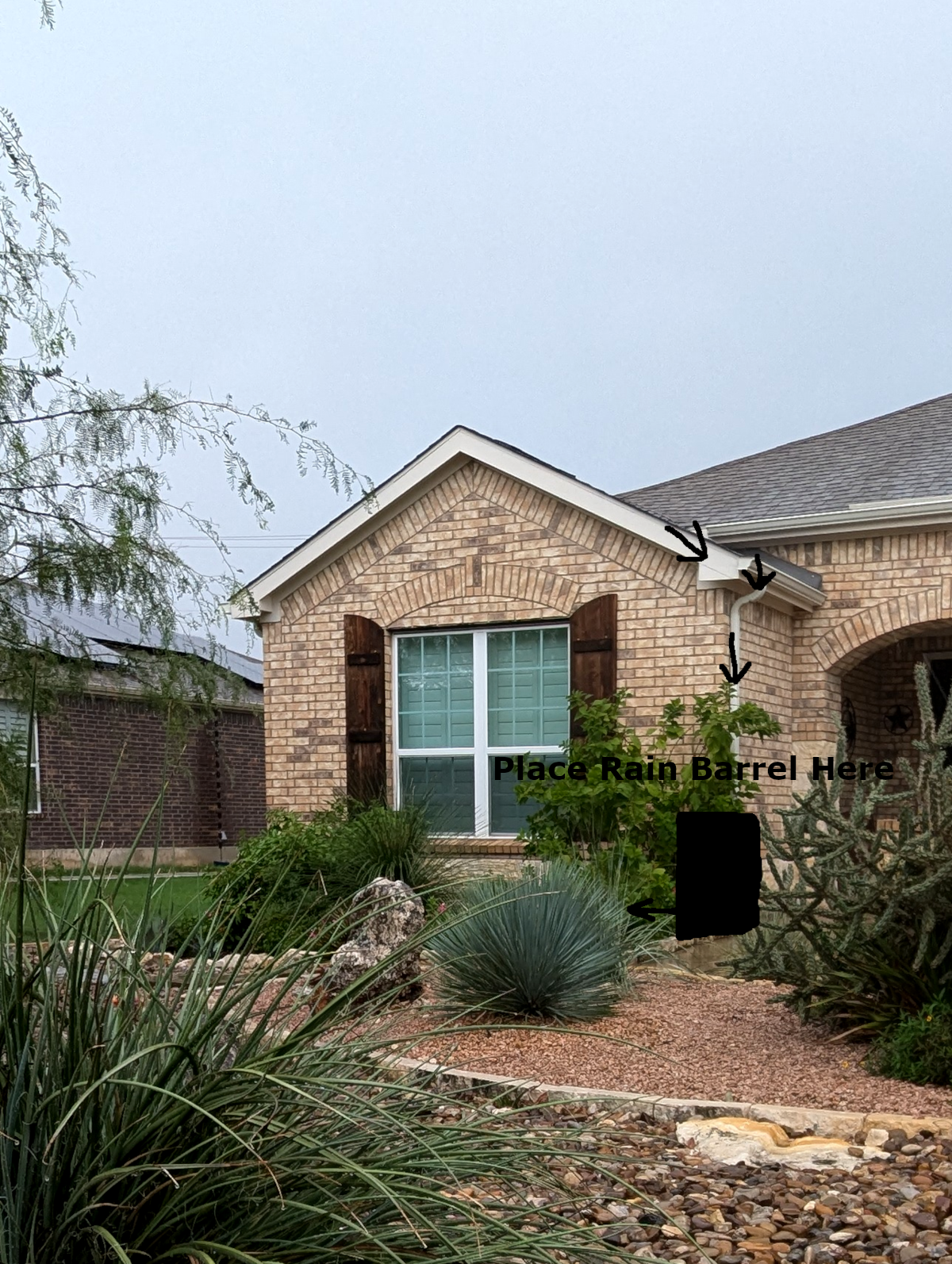 Rainwater Harvesting vs. Traditional Irrigation: Which is Right for Your Landscape?