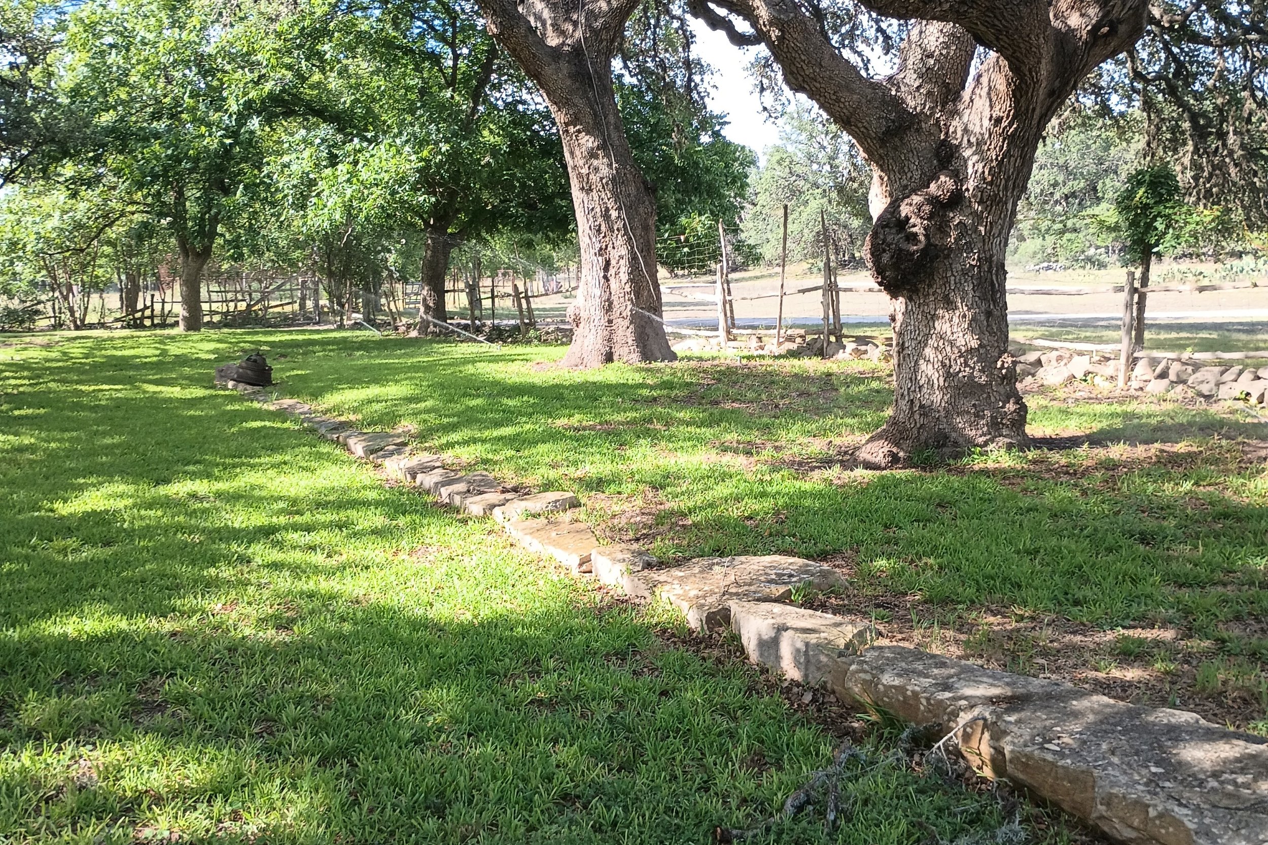 Rotors Watering St Augustine Grass