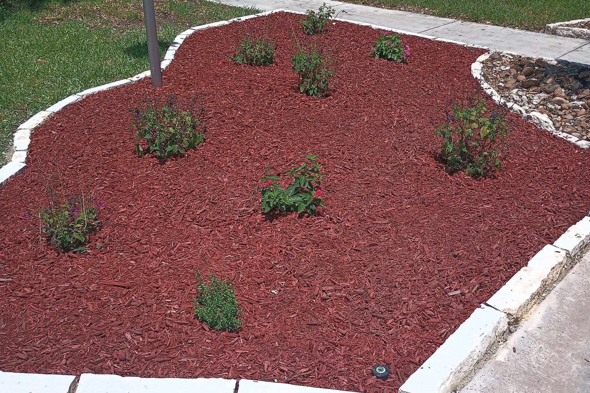 Native Texas Plants With Red Mulch and Limestone Chop Block