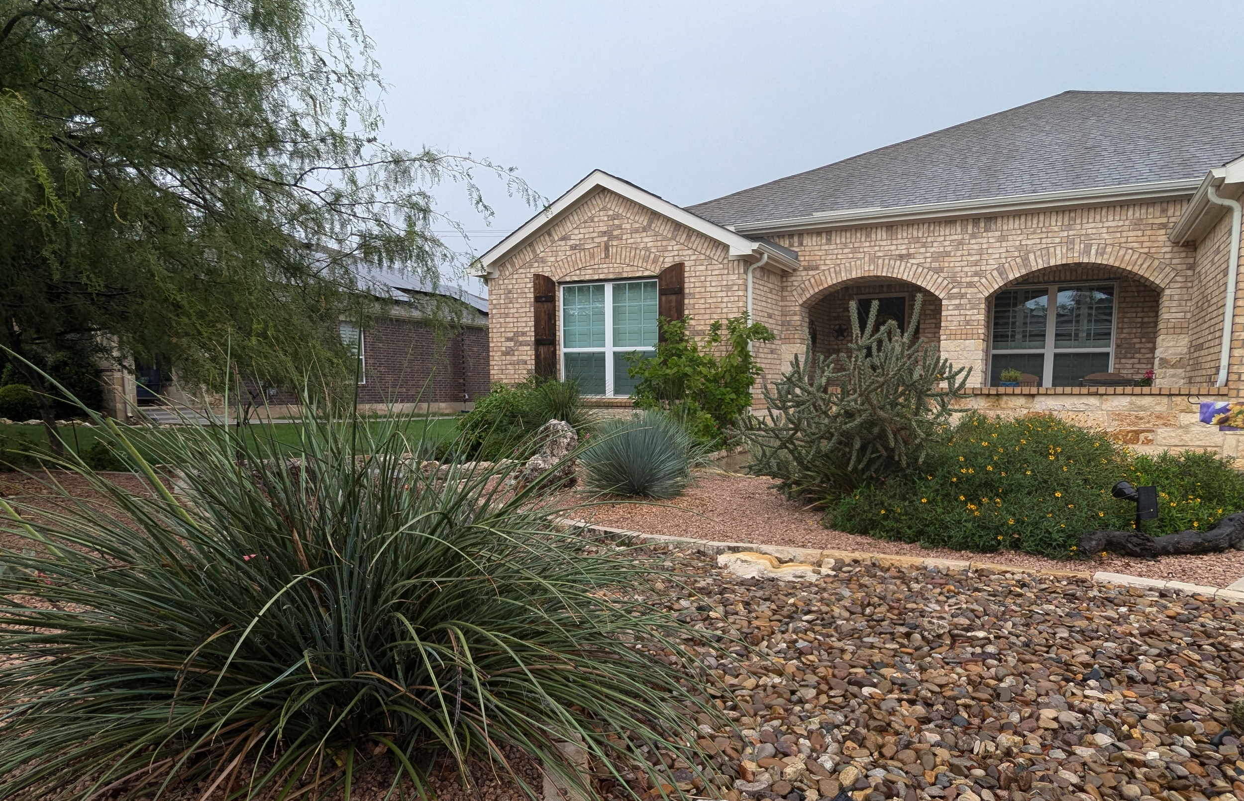 San Antonio Xeriscape With New Custom Point Source Dripline Irrigation System - Saving 30% Or More In Water Costs