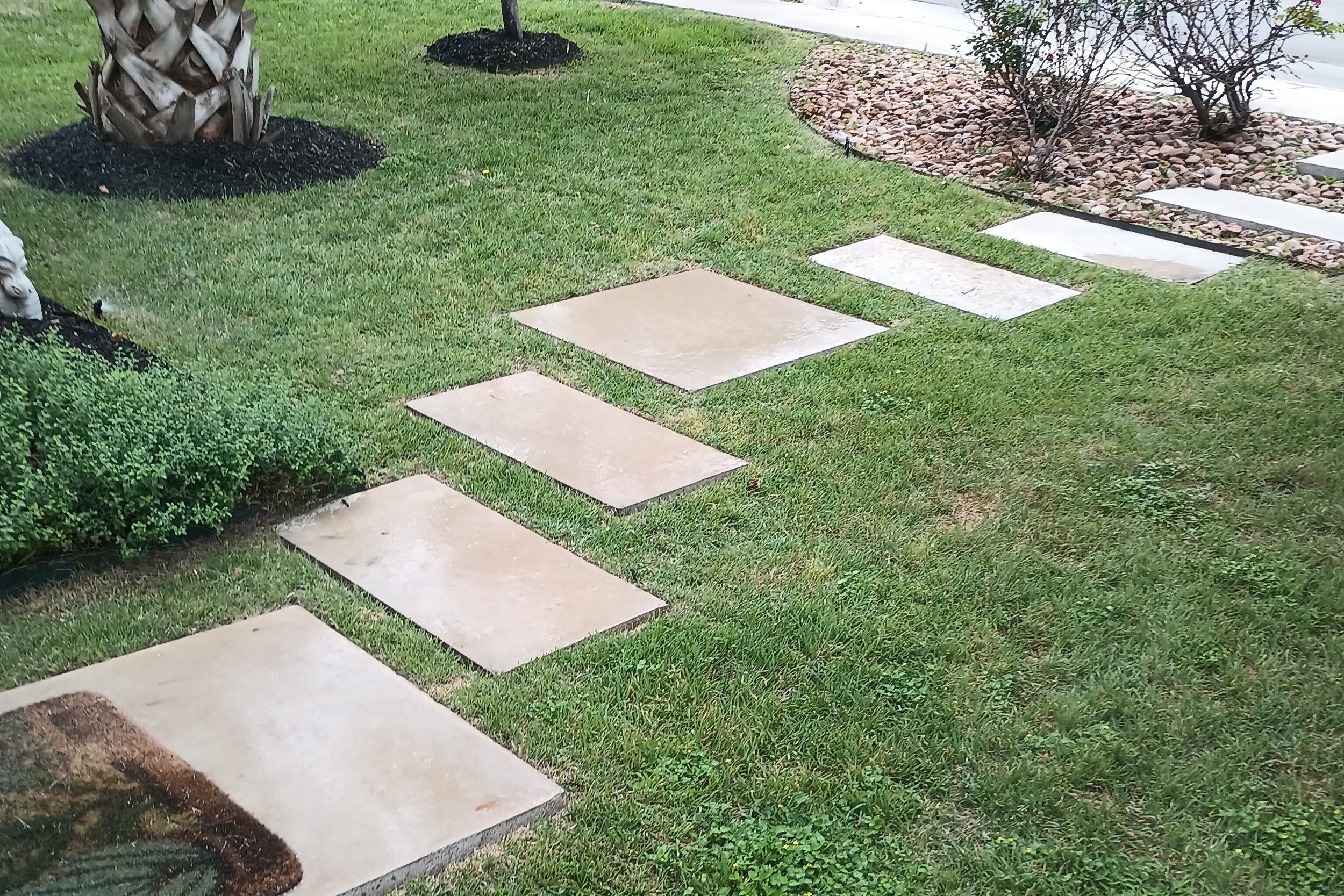 Sprays Watering Mixed Grass