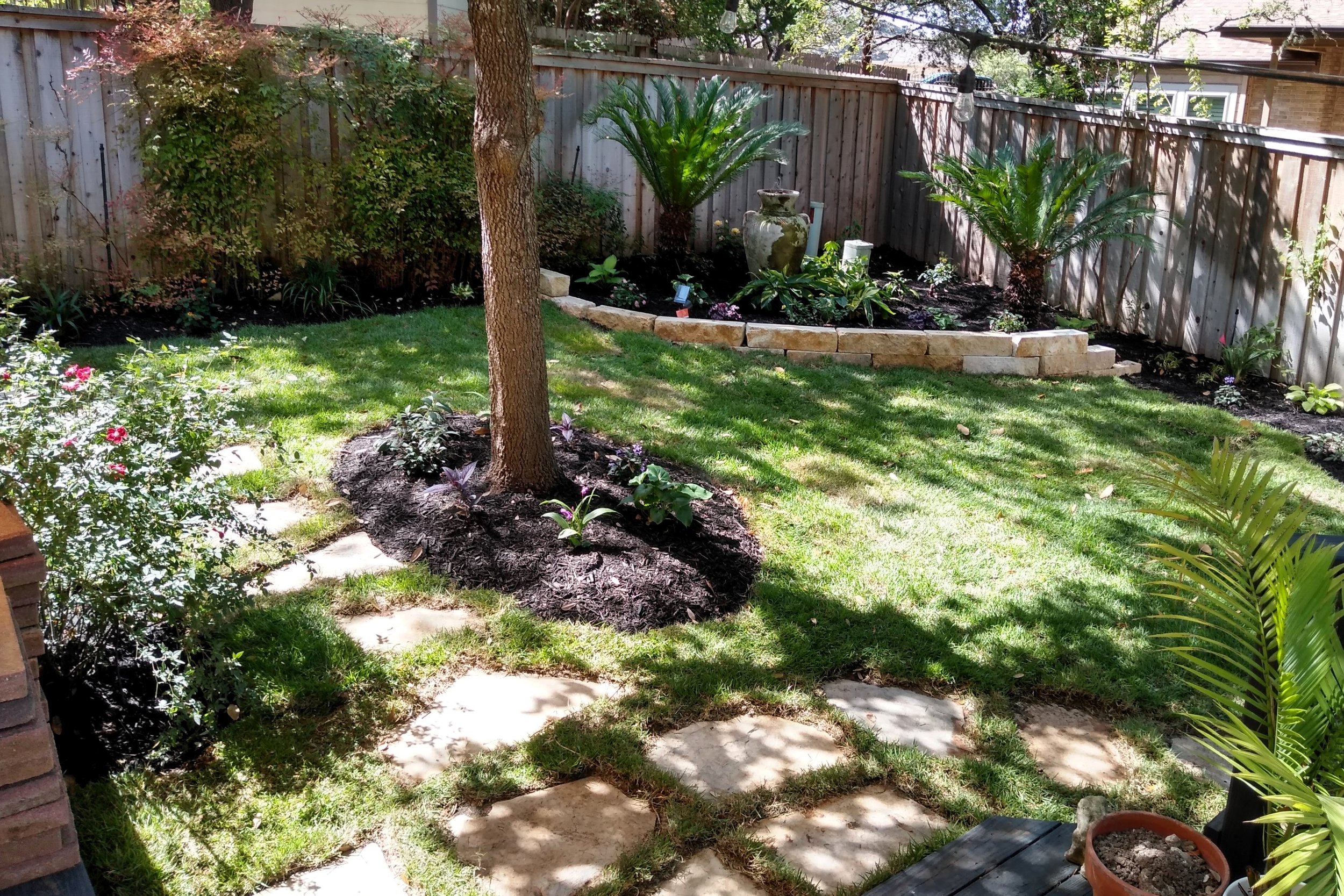 Fresh Backyard Landscape With Zoysia and Black Mulch