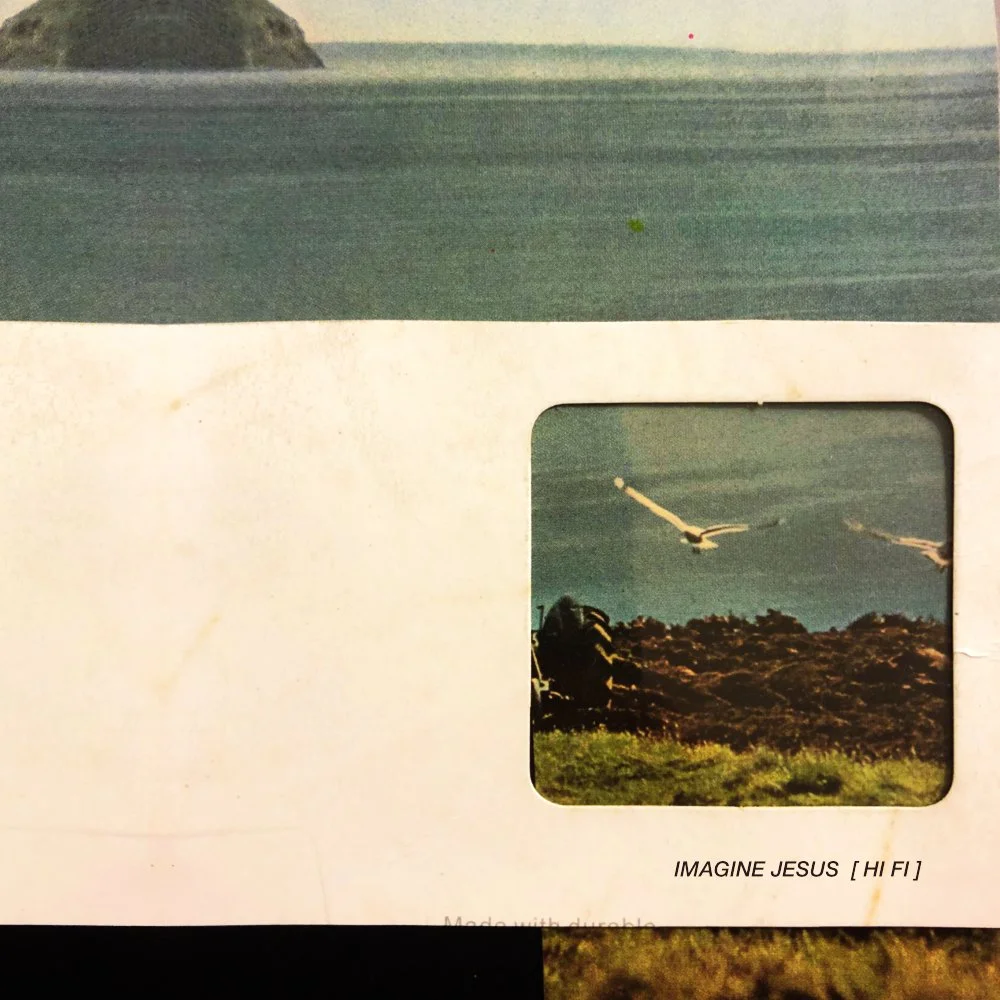 A white cassette tape case with a small window showing a landscape photo of seagulls flying over rocky terrain and green grass.