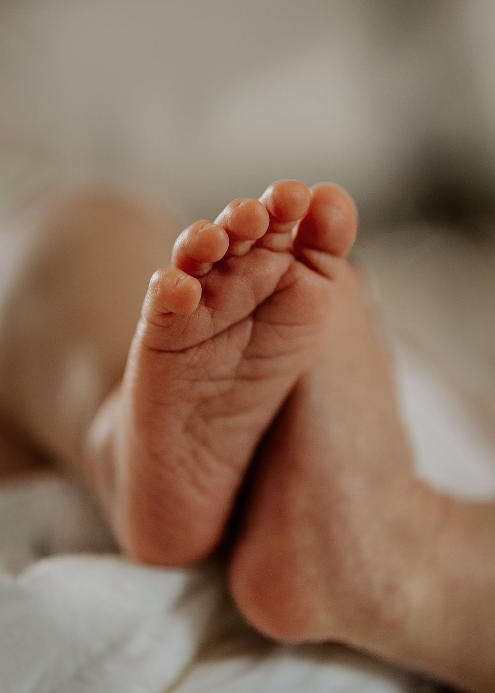 Nærbilde av en babys hånd som holder en finger. Det er noen av øyeblikkene som er en nyfødtfotograf fanger de første dagene av en baby sitt liv.