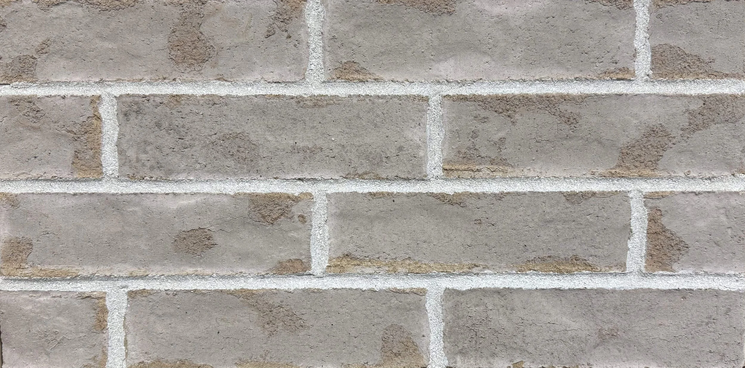 Silverbay Closeup.jpg