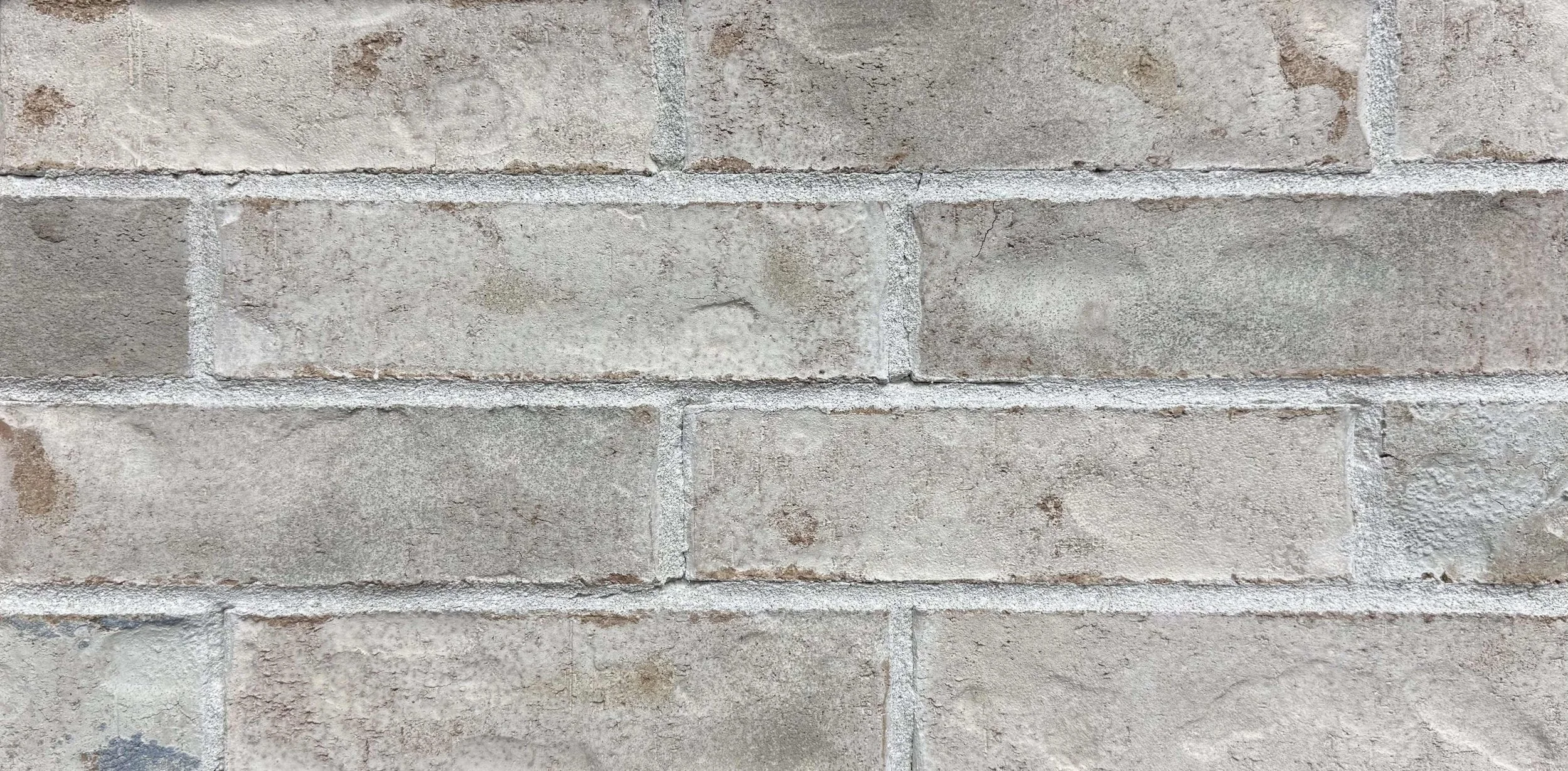 Seabrook Closeup.jpg